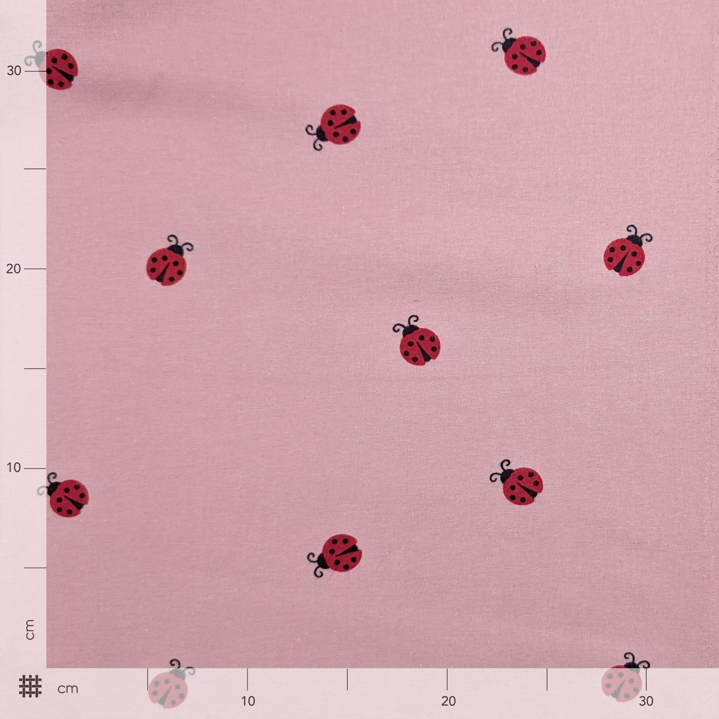 Ladybird Cotton Flannel Image
