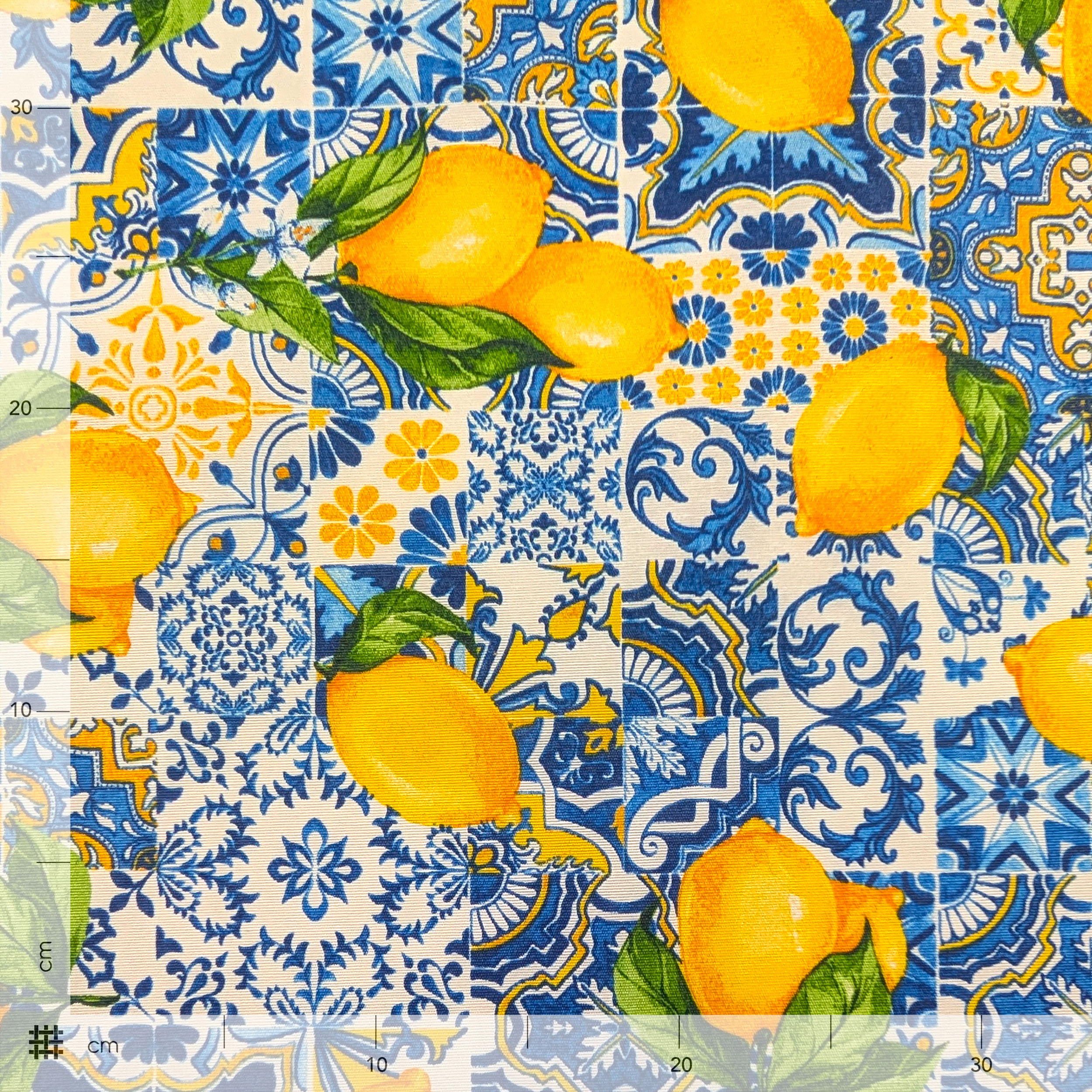 Fabric for Resin Tablecloth Majolica and Lemons Image