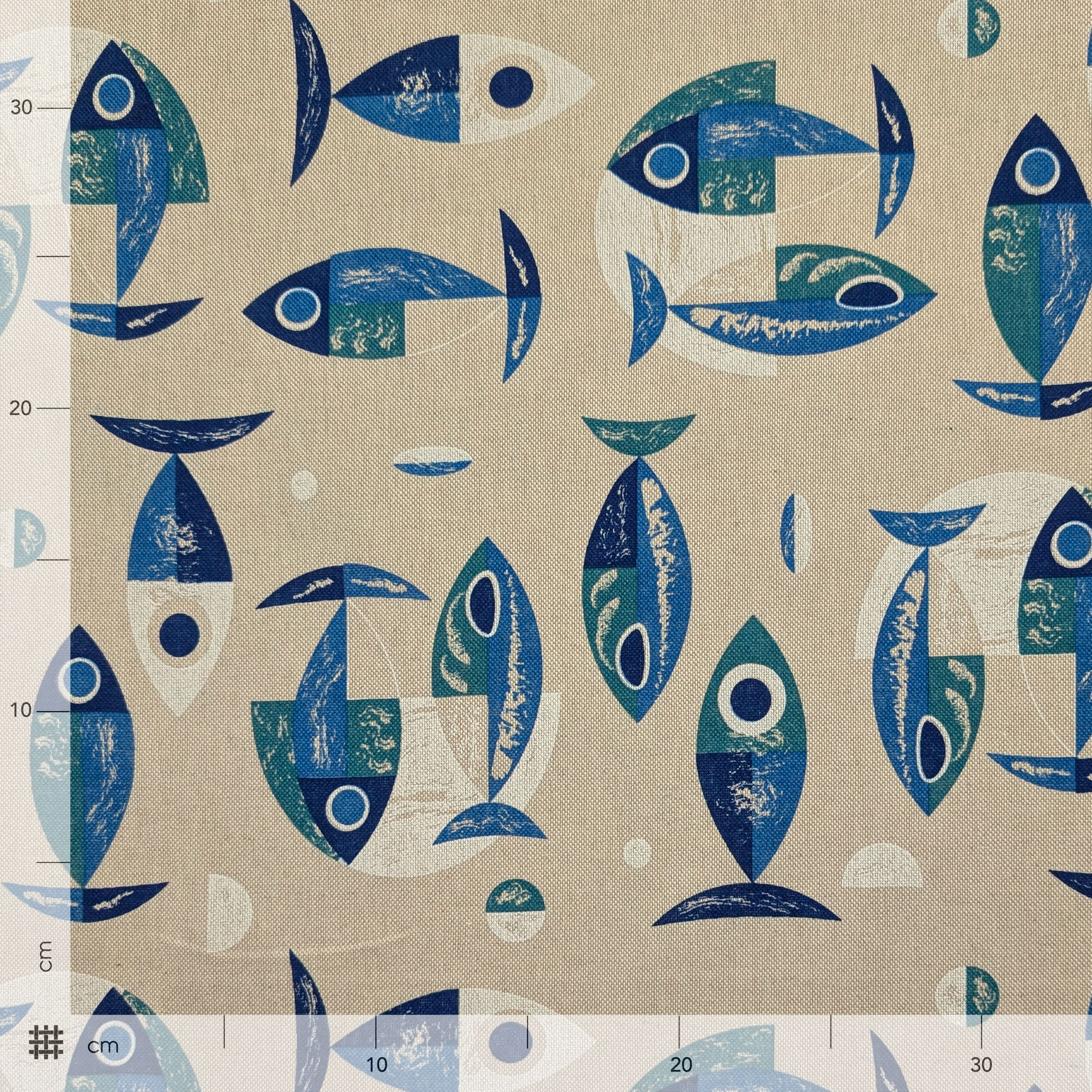 Panama Modern Fish Image