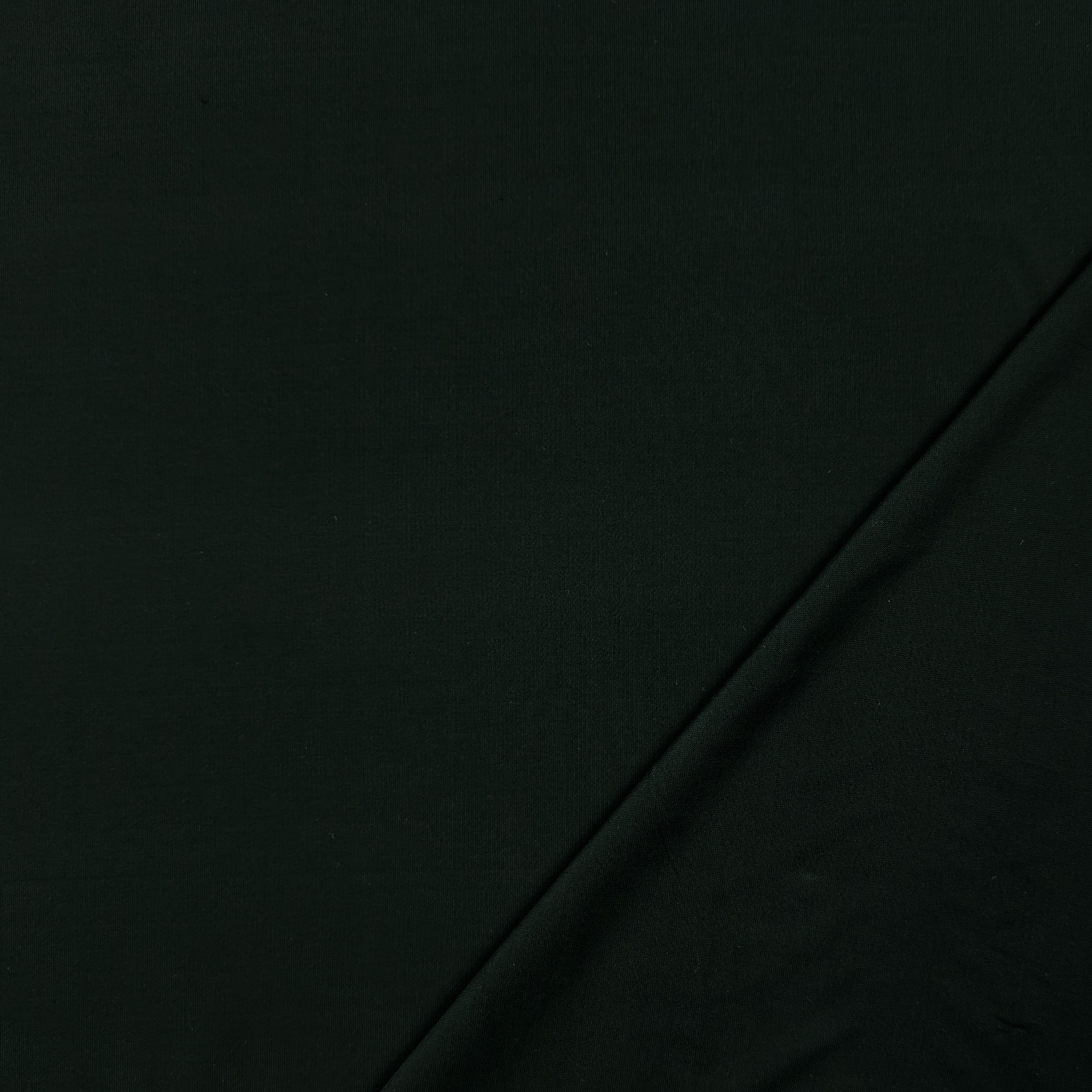 Bi-elastic plain green fabric Image