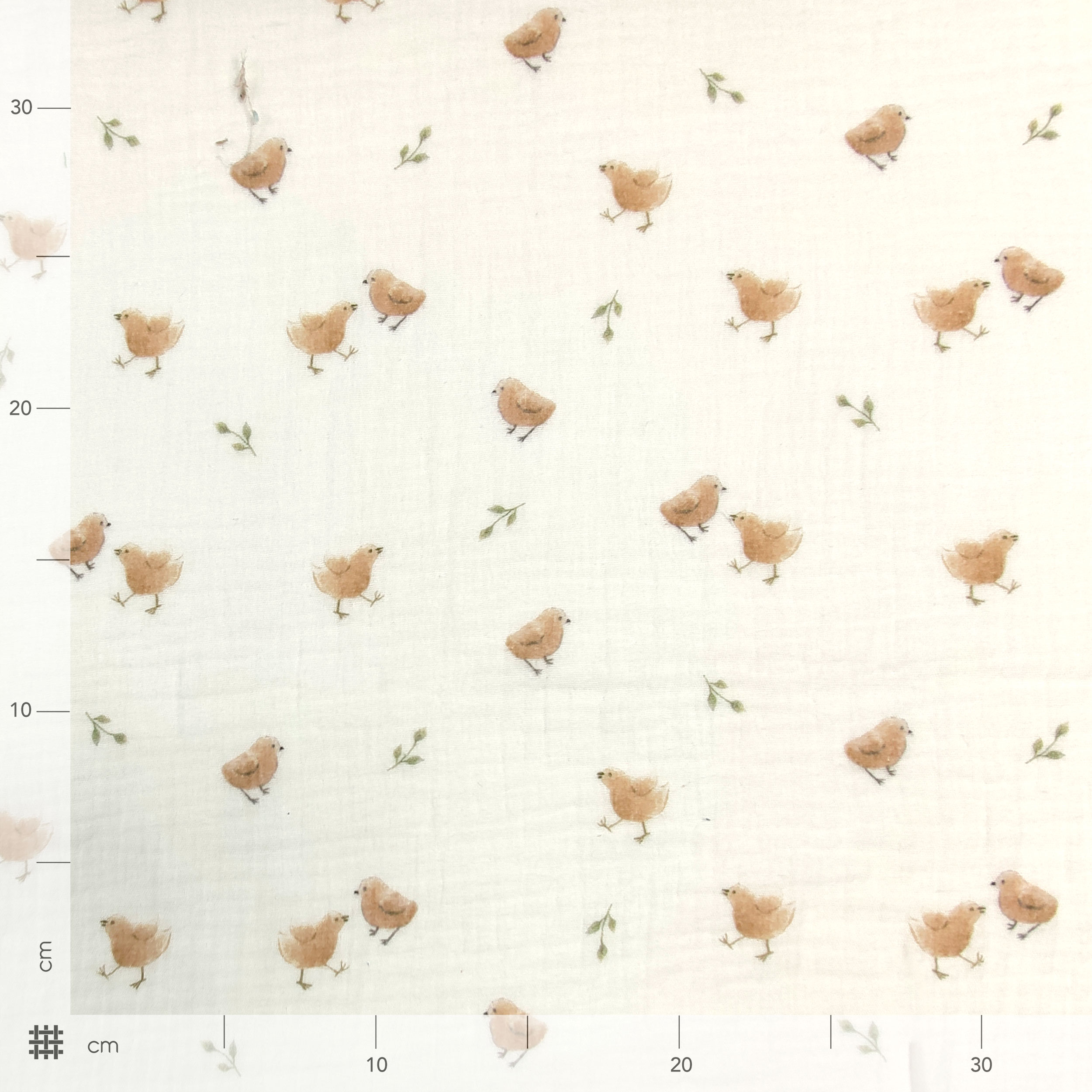 Cotton Muslin Birds Image