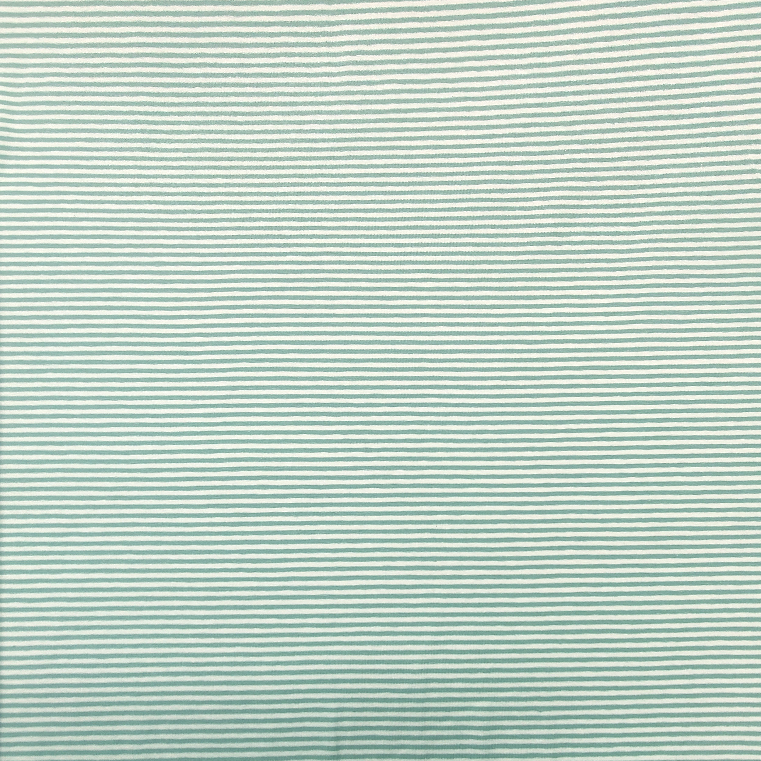Yarn-dyed Jersey Cotton Coloured Stripes 1