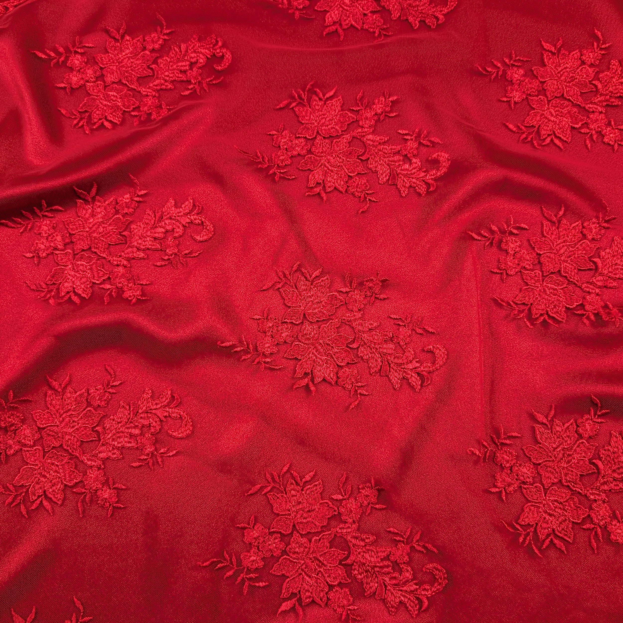 Dentelle haute couture à double bord rouge Image