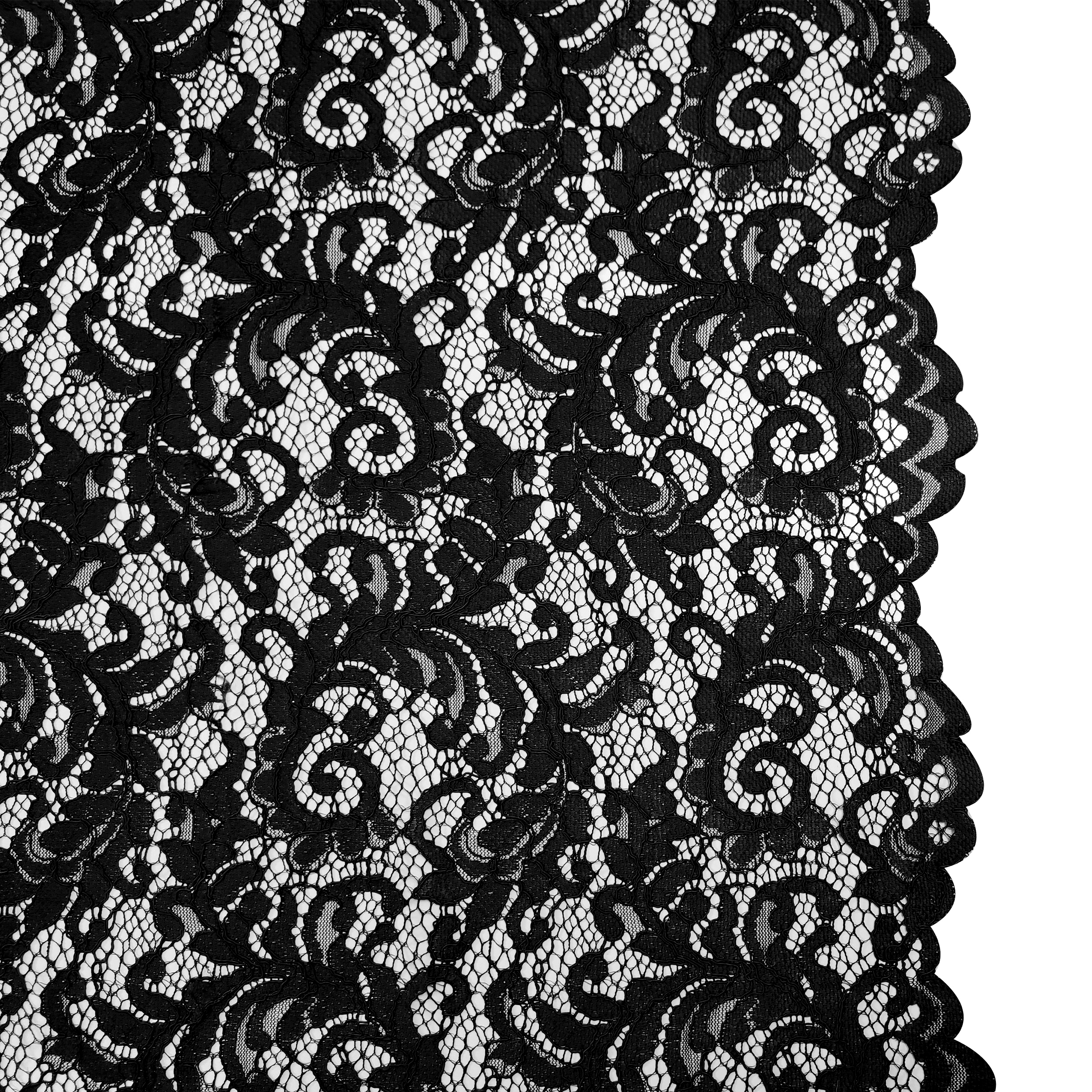 Micky Lace Image