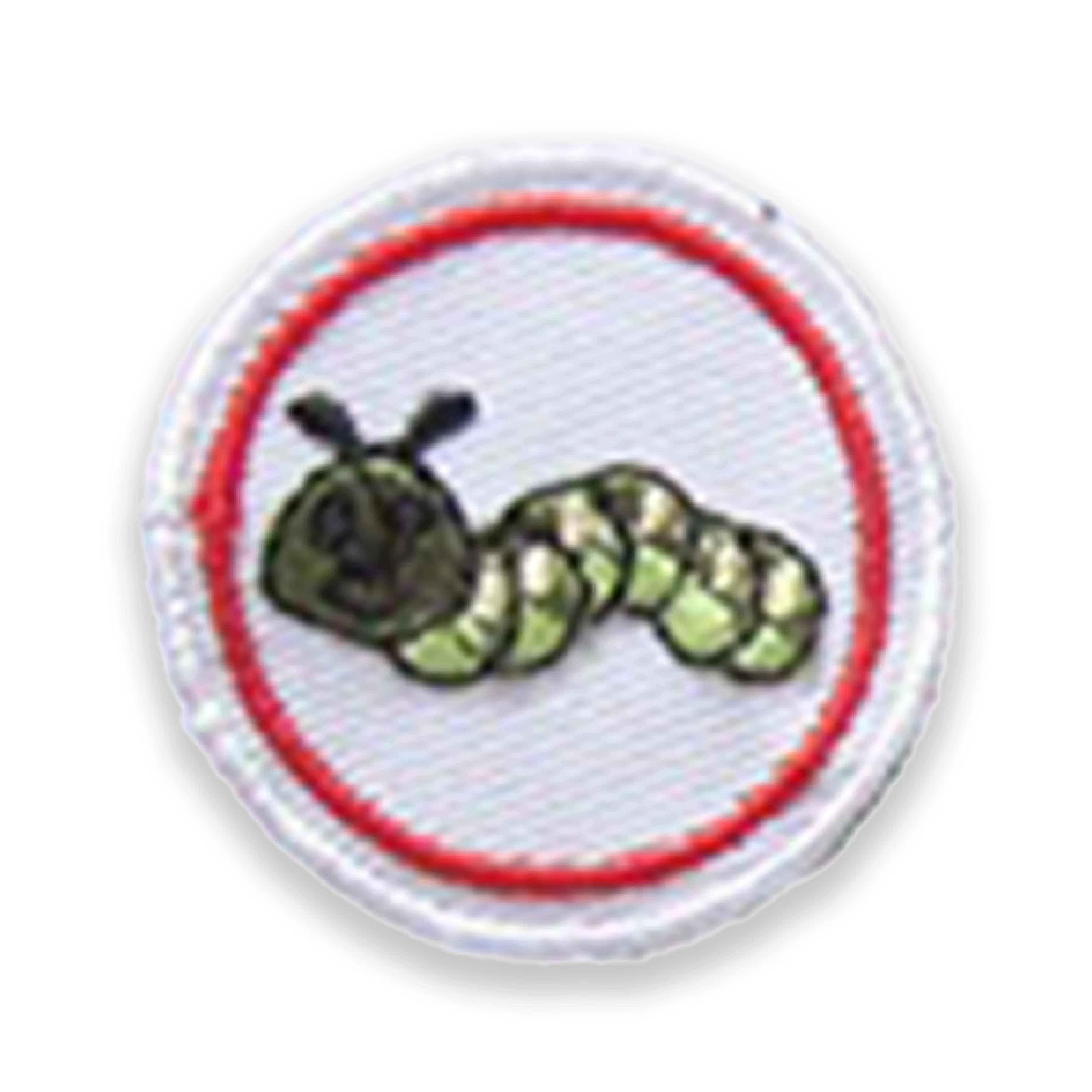 Caterpillar