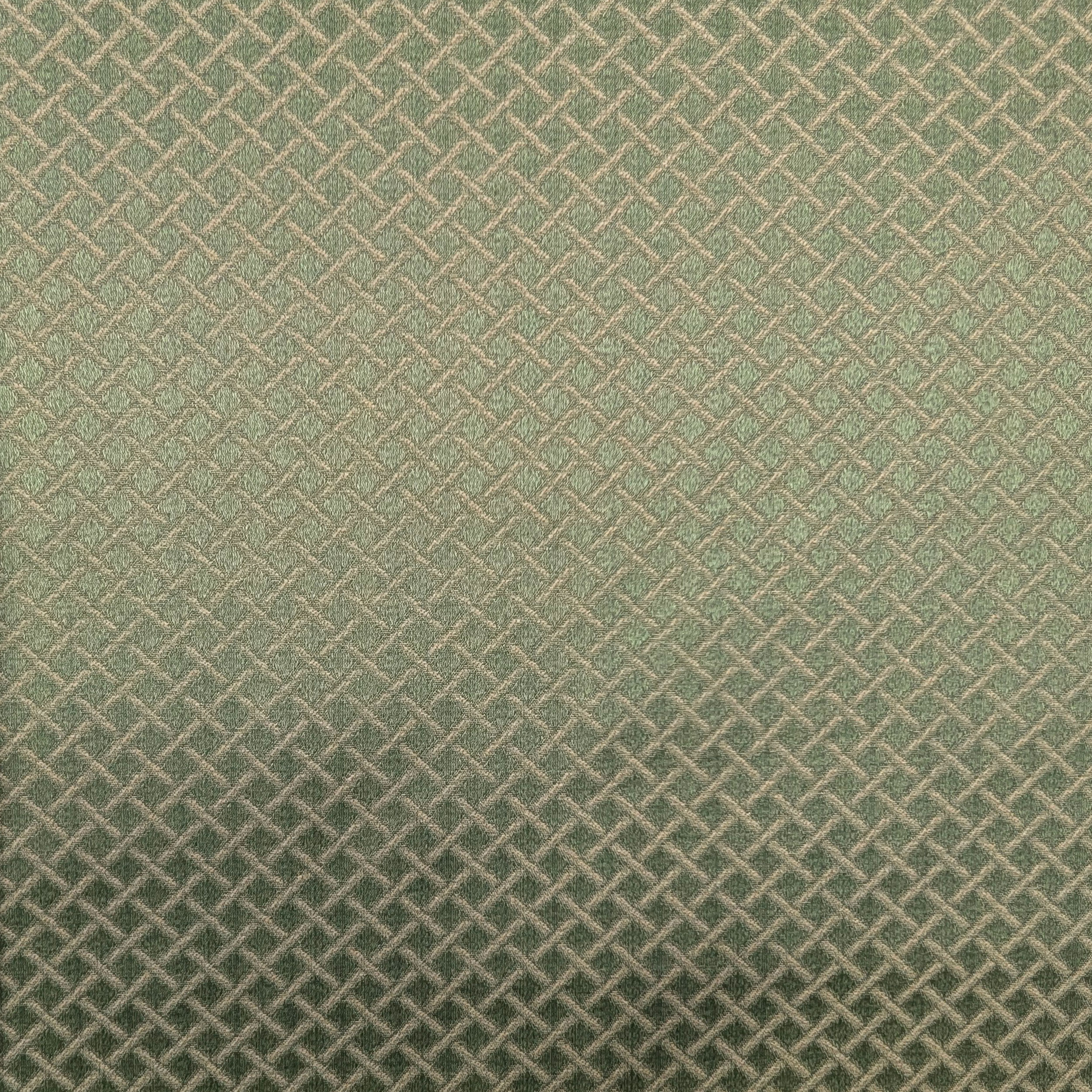 Jacquard tissé vert Image