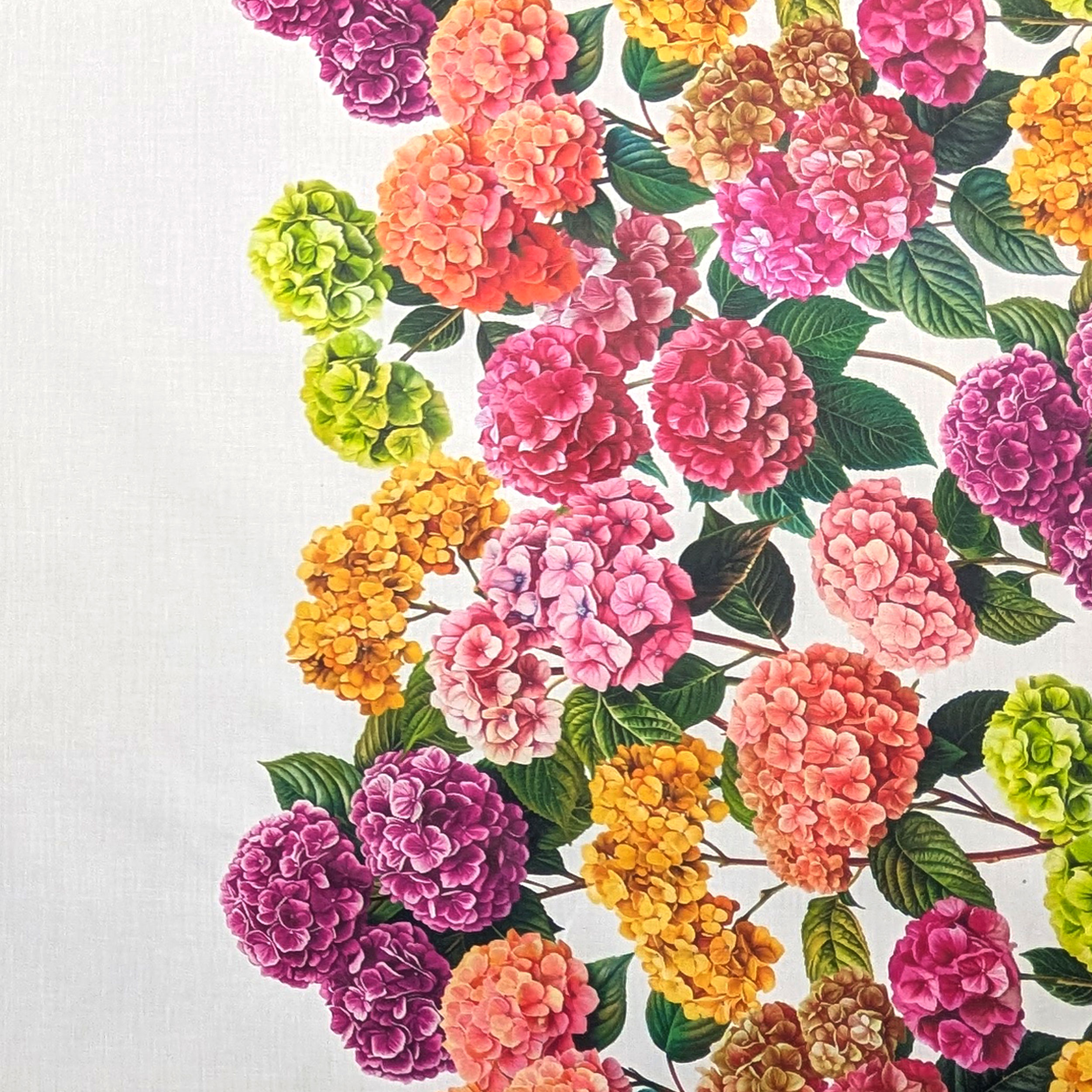 Fabric for Resin Tablecloth Hydrangea Border Image