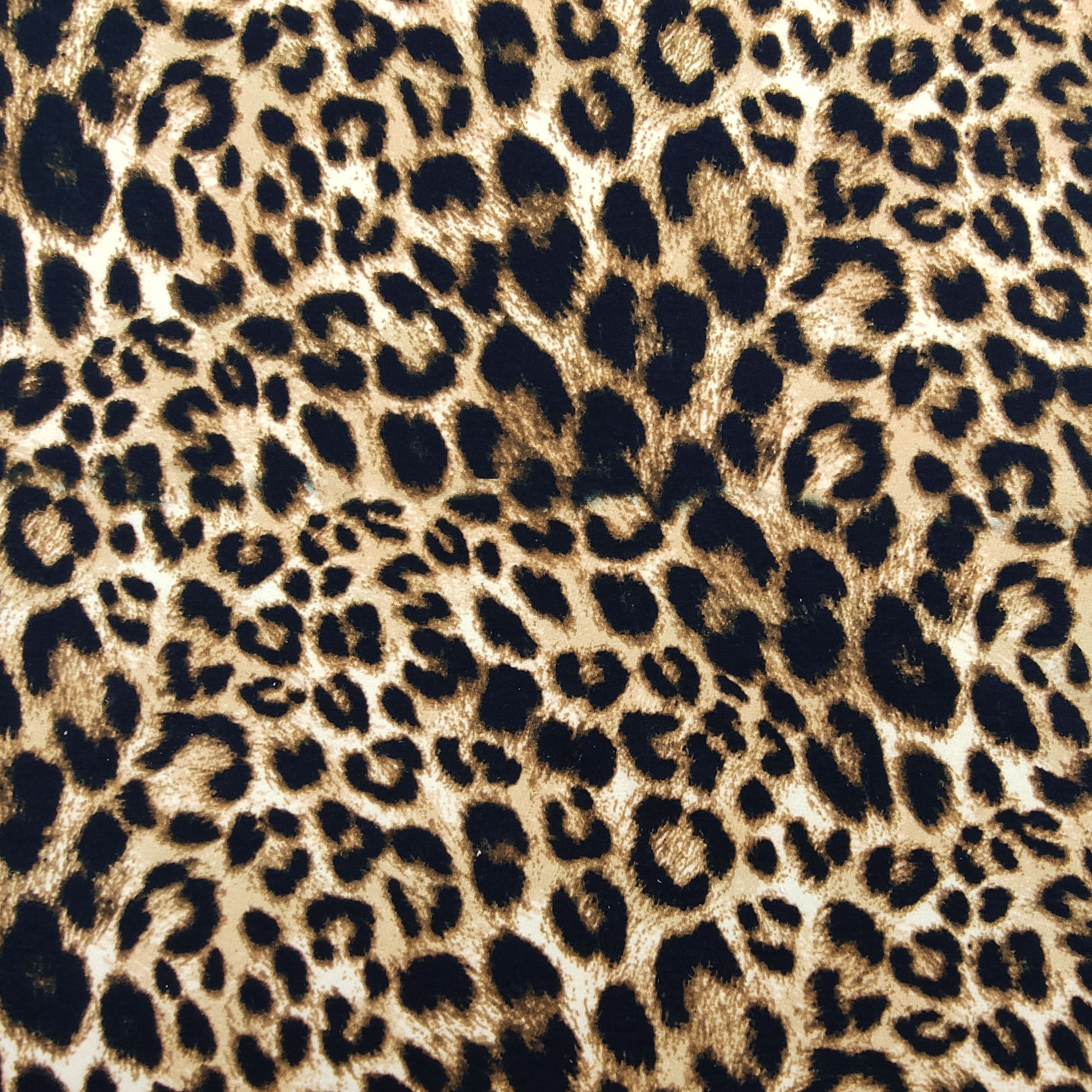 Milano Stitch in Pure Cotton Spotted Image