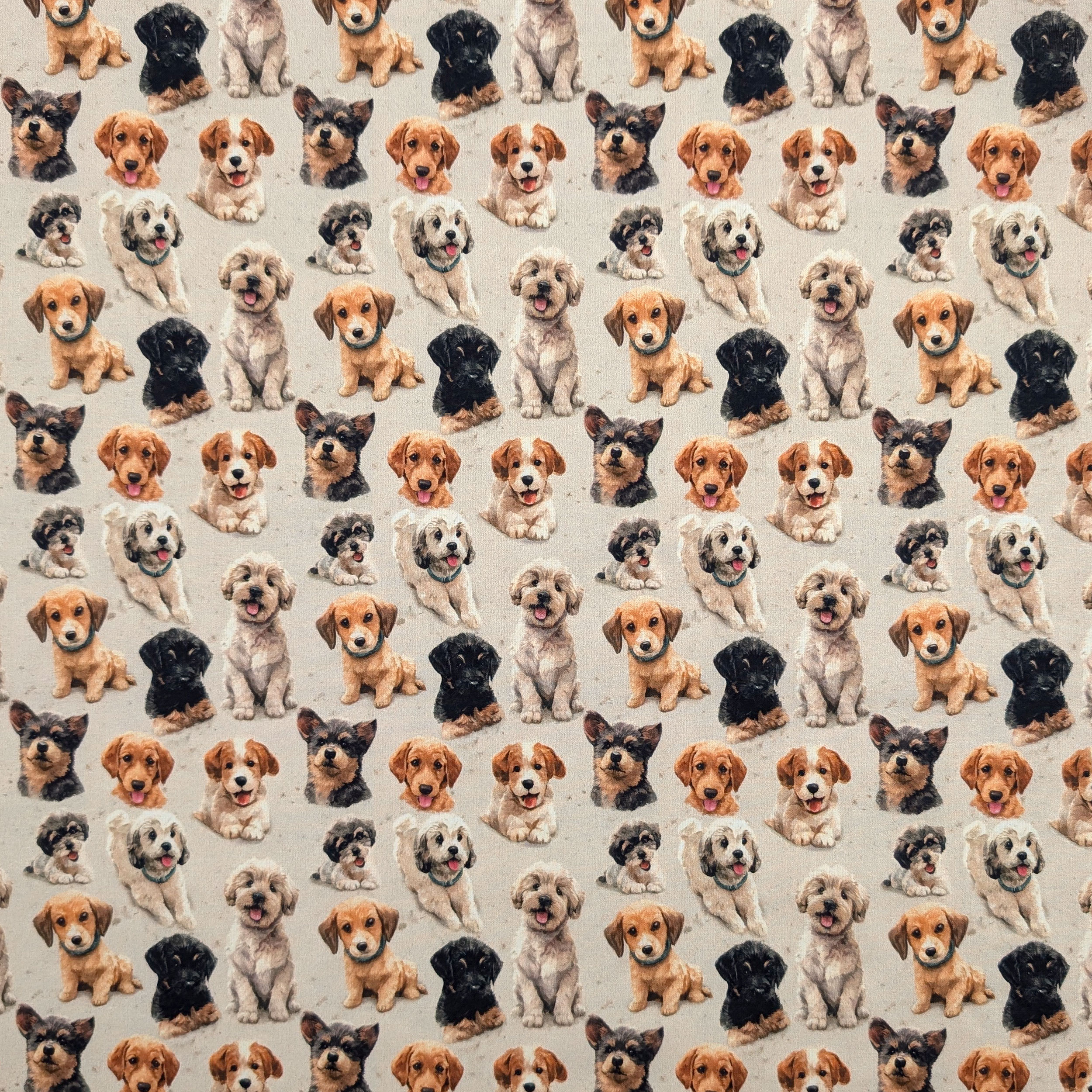 Cotton Doggie Pattern Image