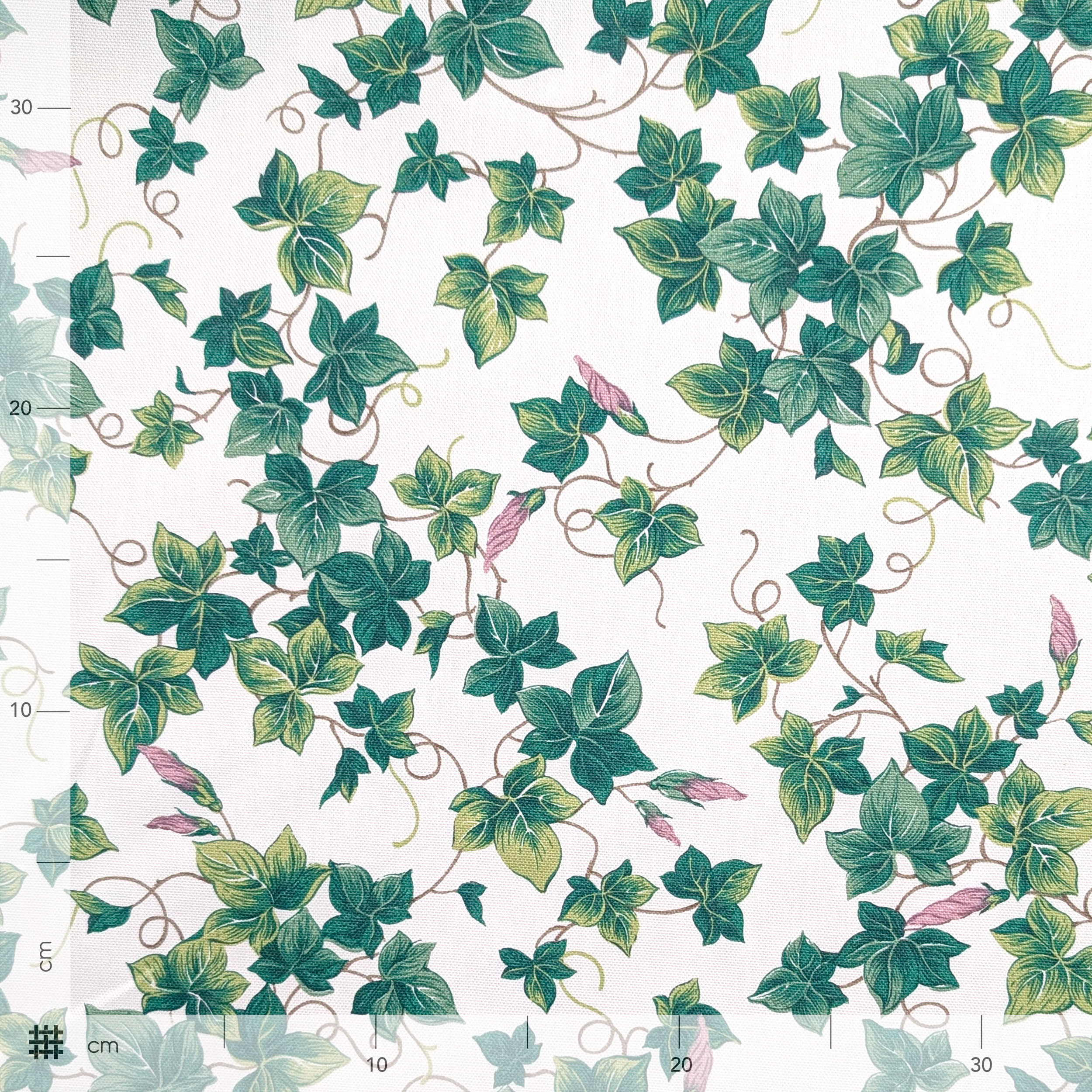 Ivy Flower Printed Panama Image