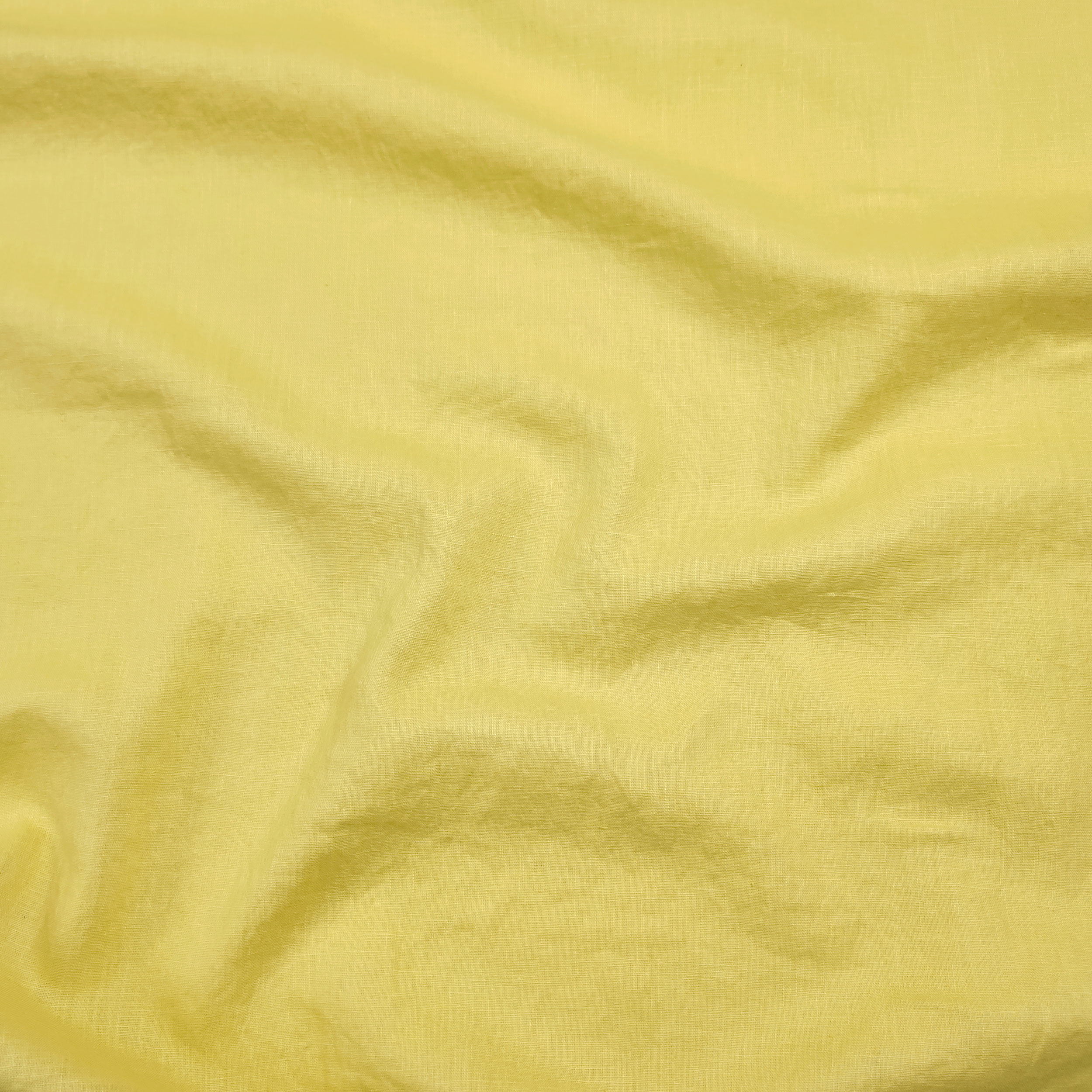 Yellowish - 2411