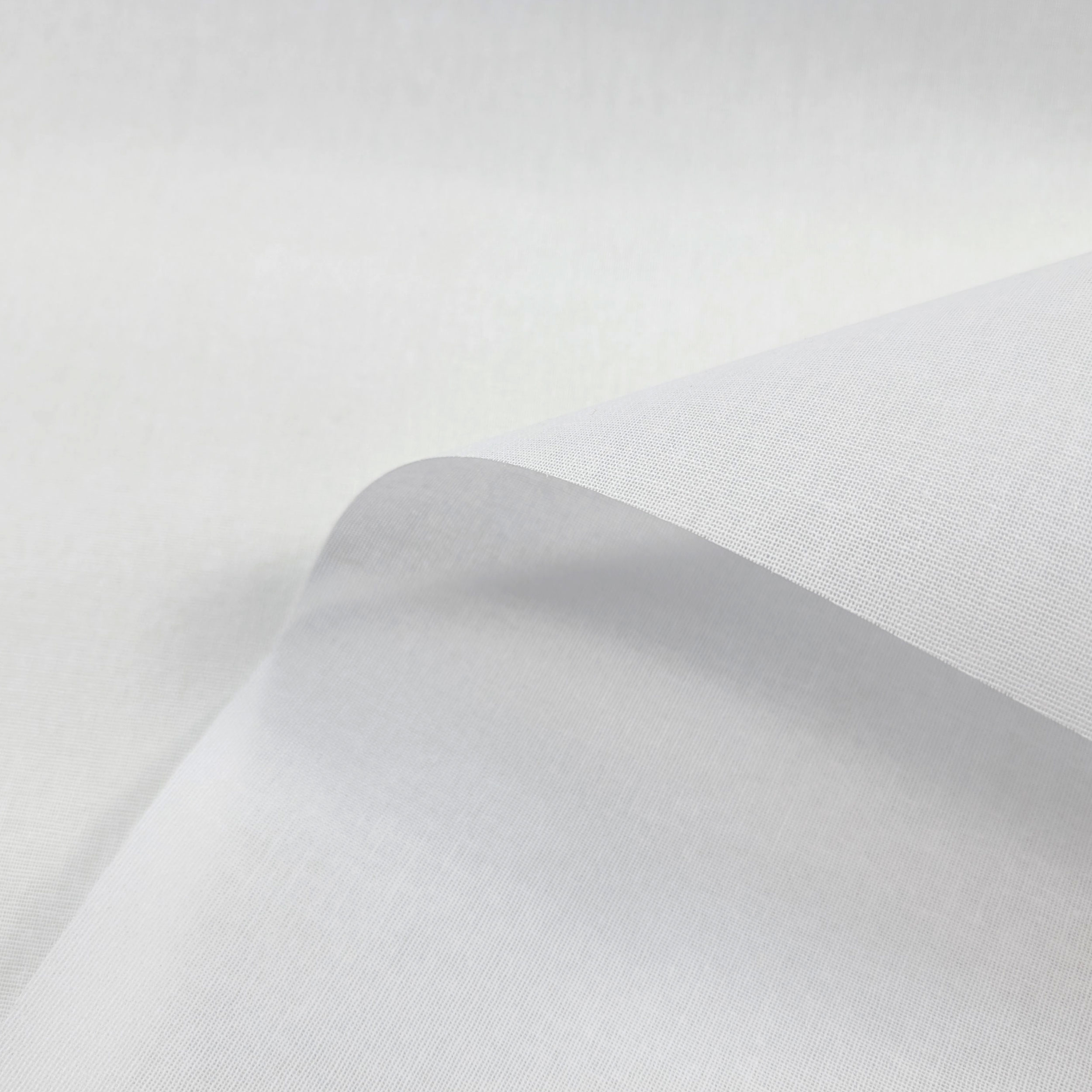 Lienzo Blanco Image