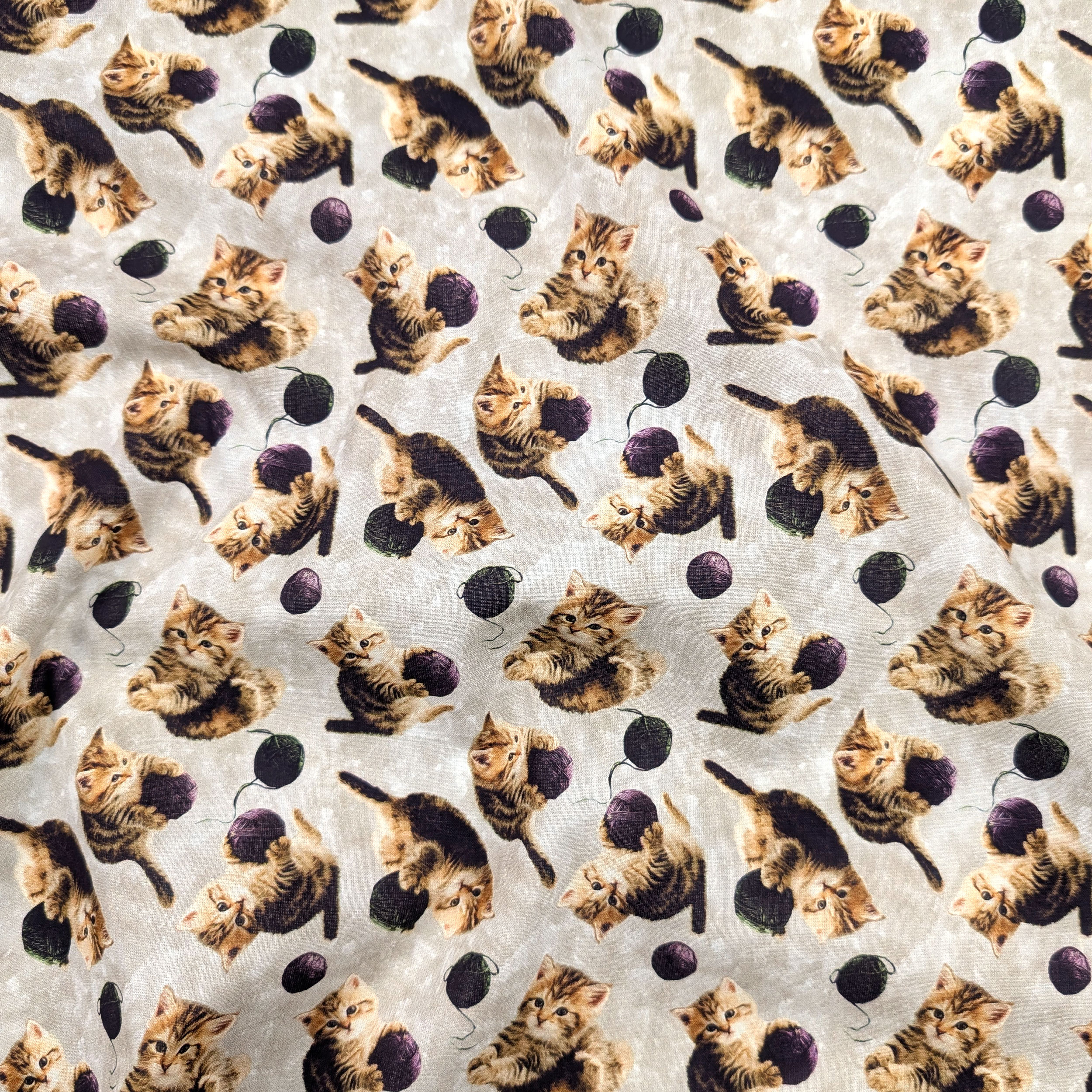 Cotton Fantasy Kittens and Ruffles Image
