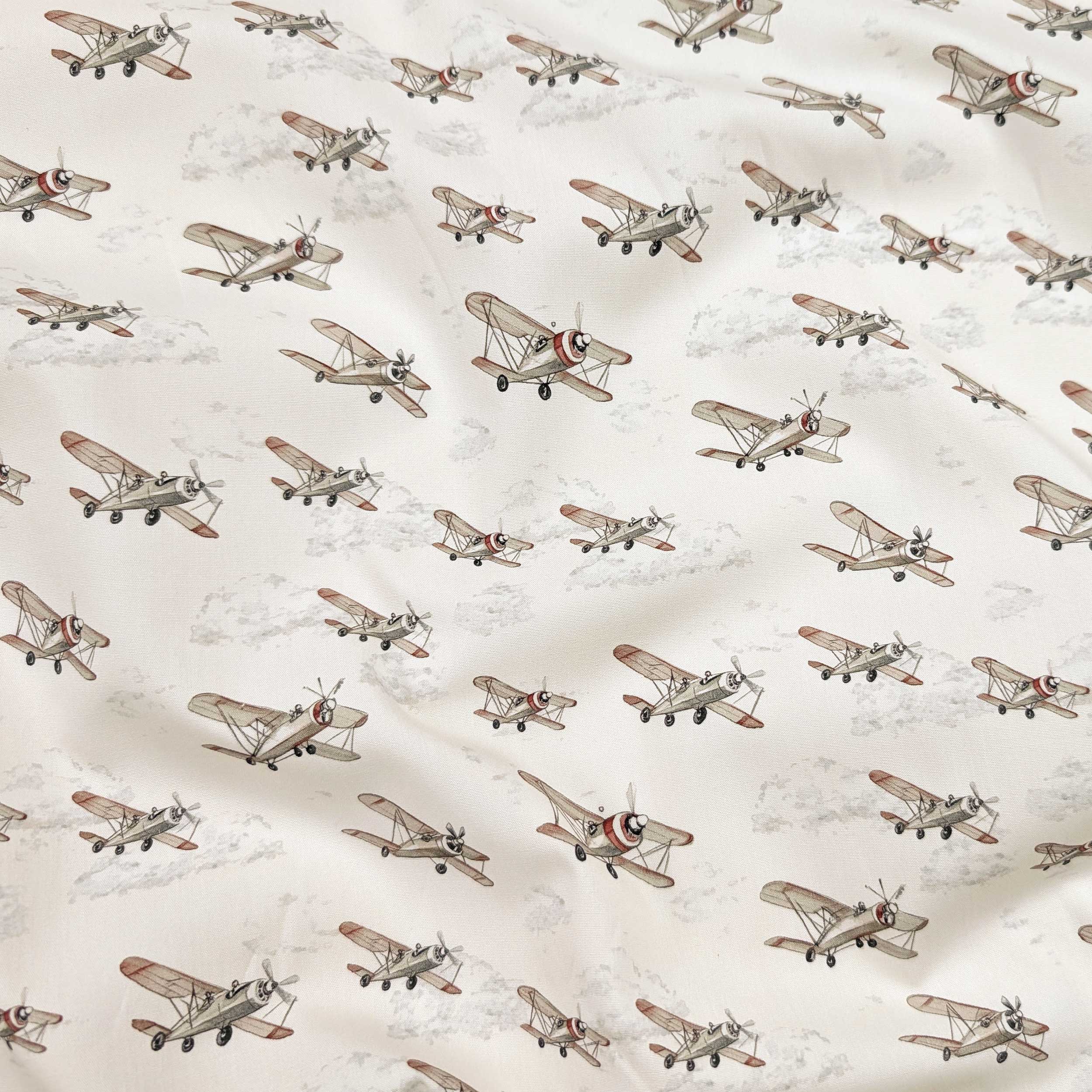 Biplani Vintage Cotton Poplin Image