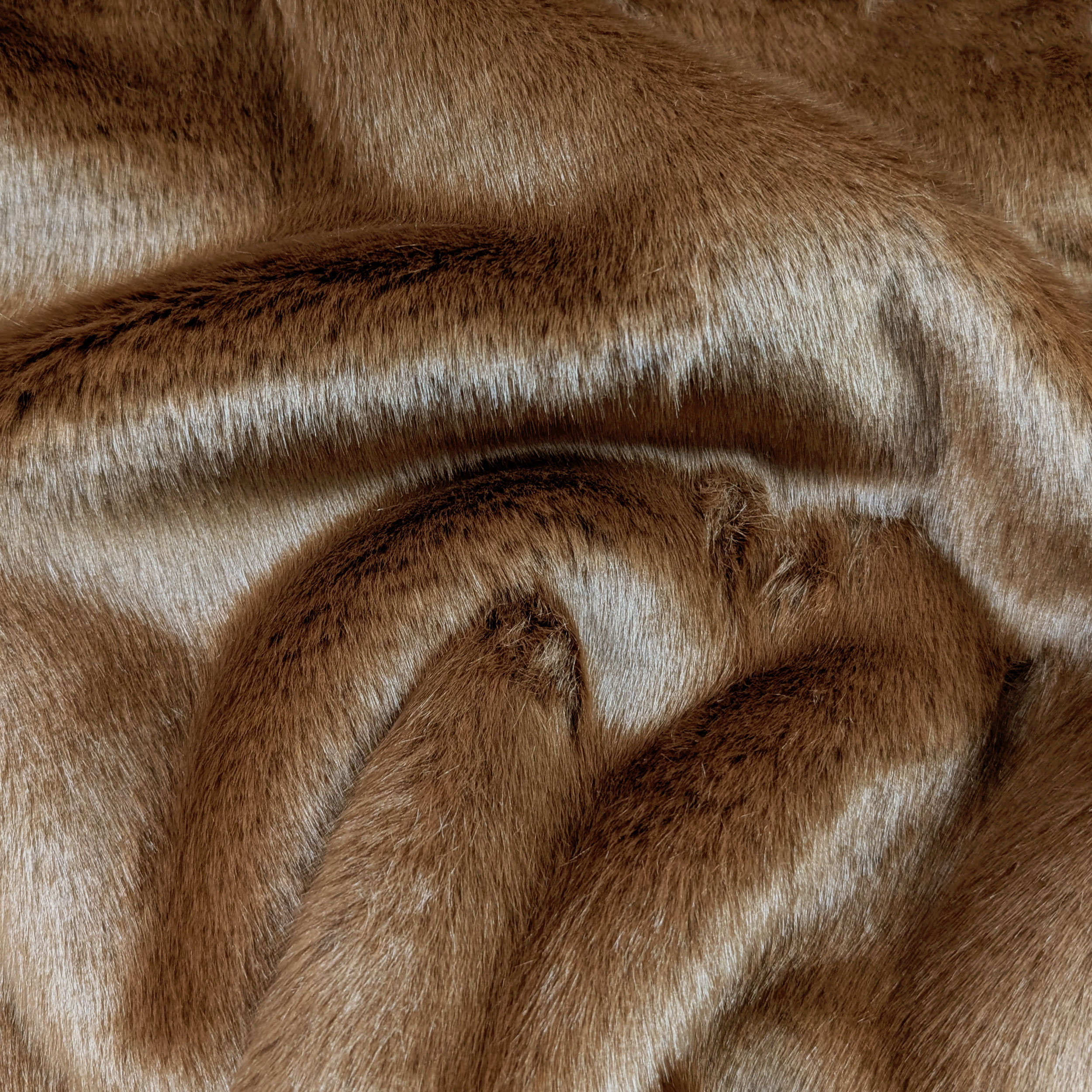 Biscuit Heavy Fur Image