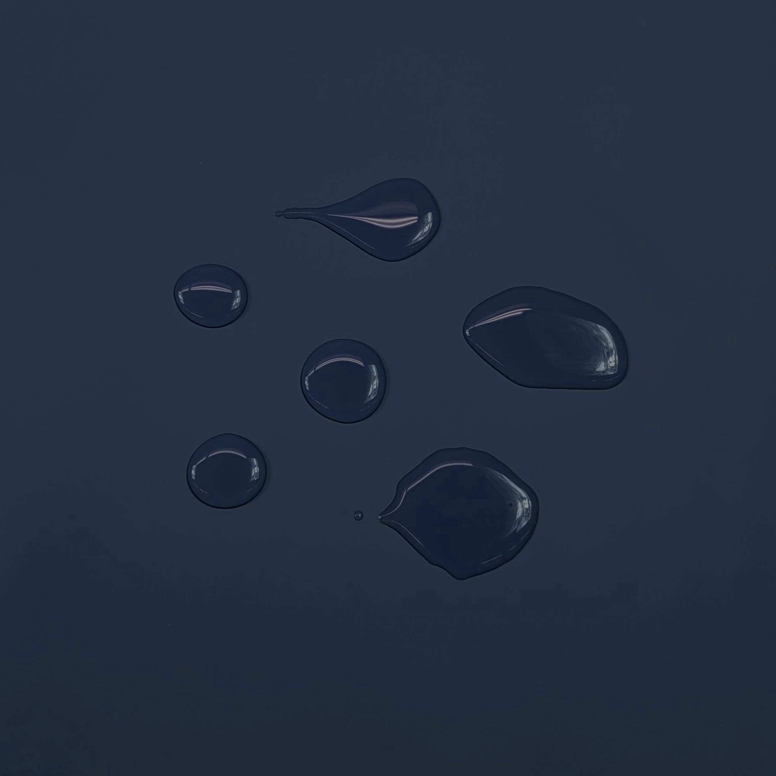 Mackintosh bleu marine Image