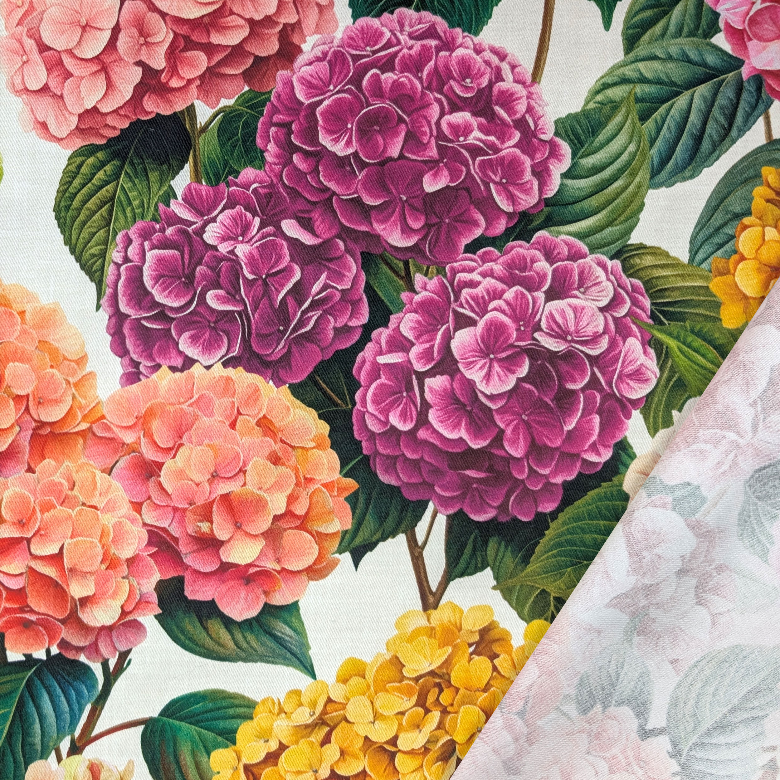 Panama Hydrangeas Pink and Yellow Tones Image