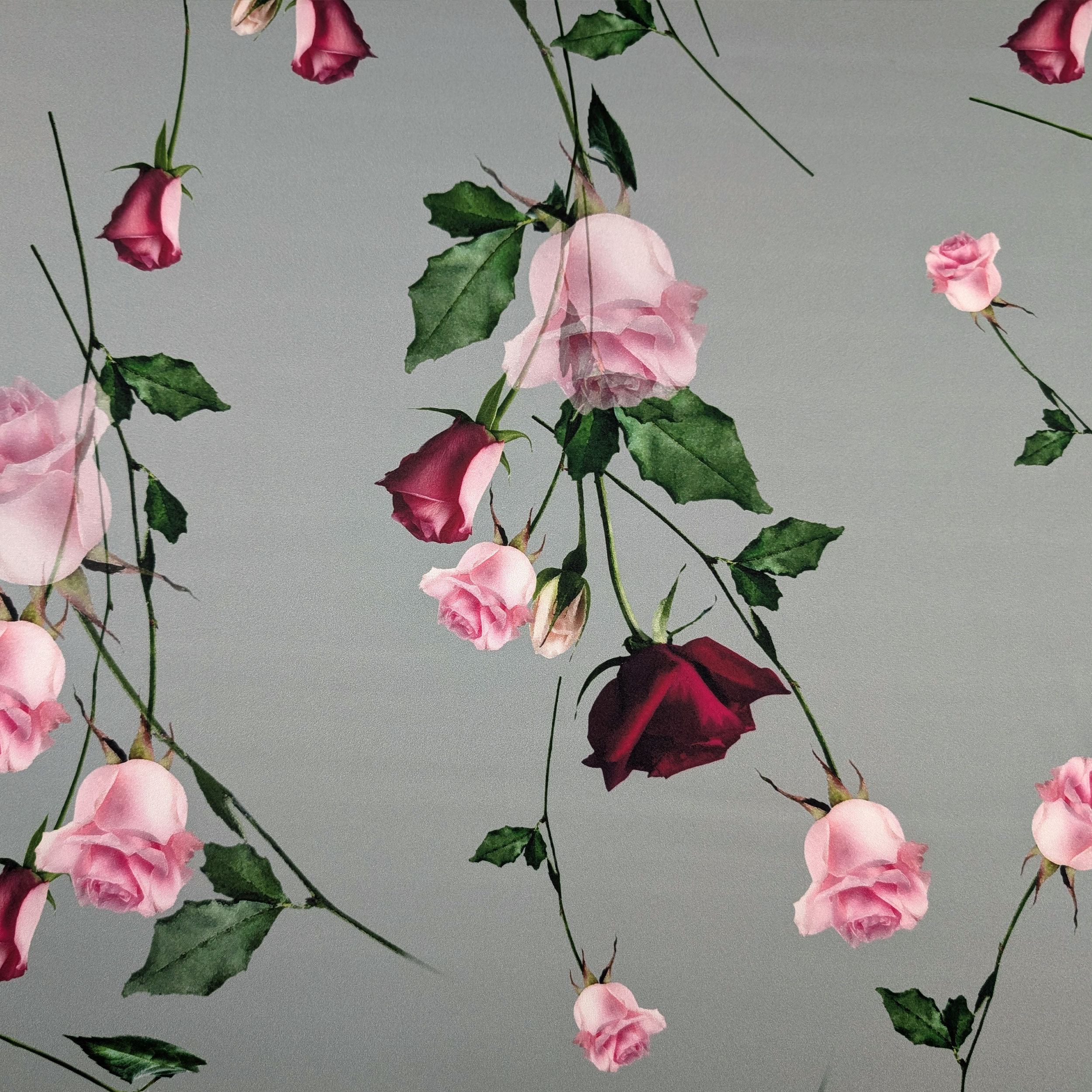 Satin Set High Fashion Rose Grey Background Image