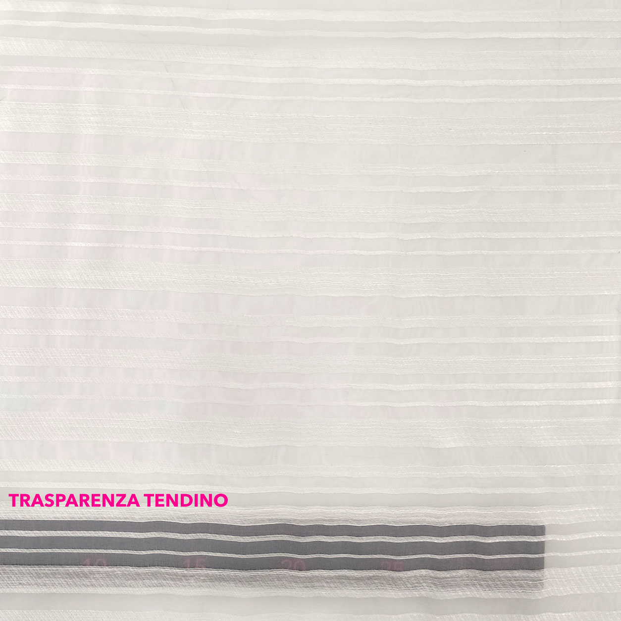 tendino-trasparente-nizza