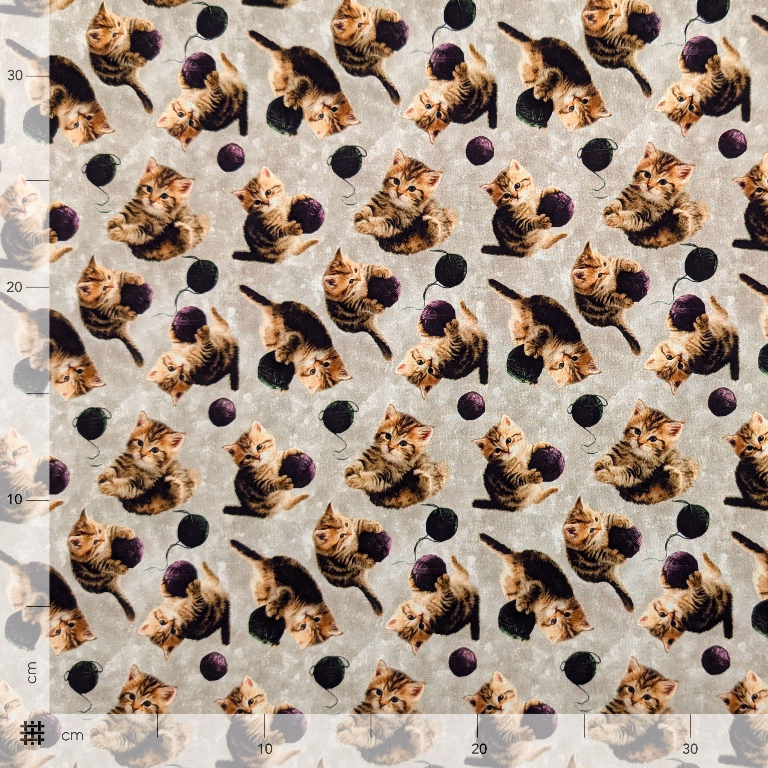 Cotton Fantasy Kittens and Ruffles Image