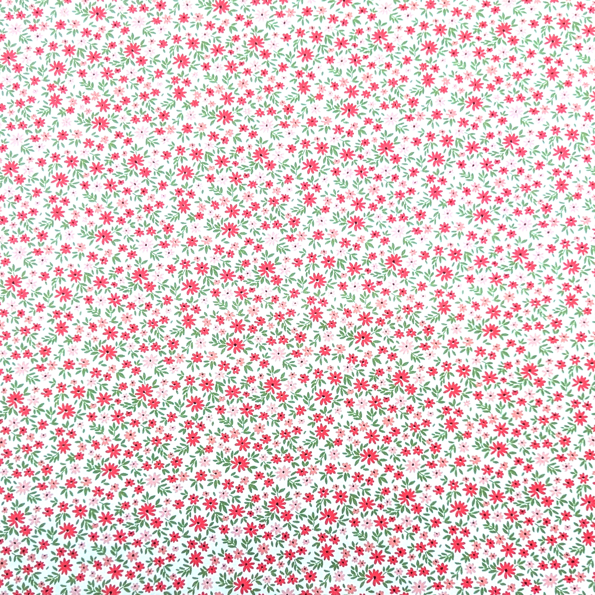 Poplin Cotton Pink and Red Flowers