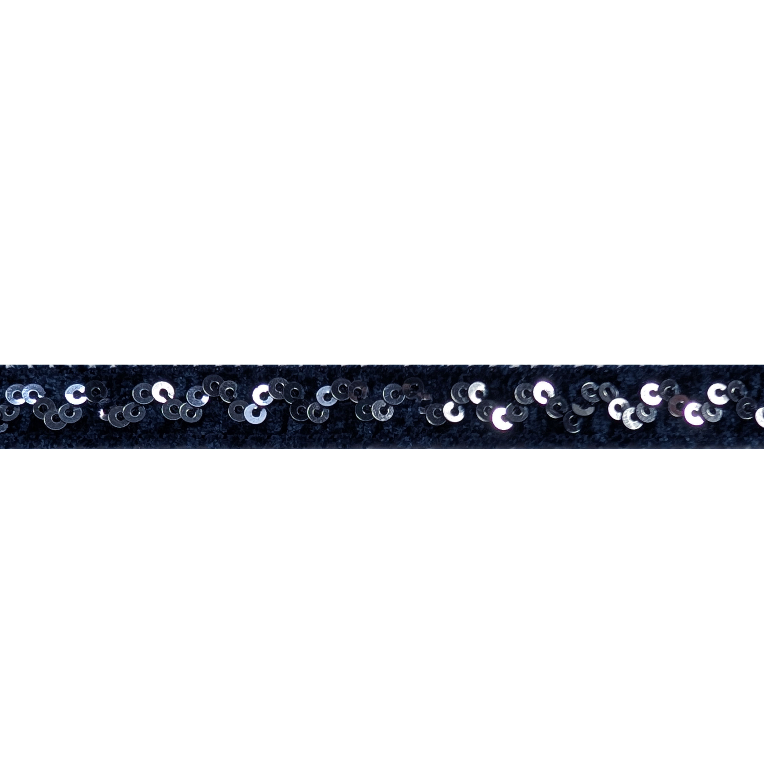 Blue Trimmings with Sequins Image