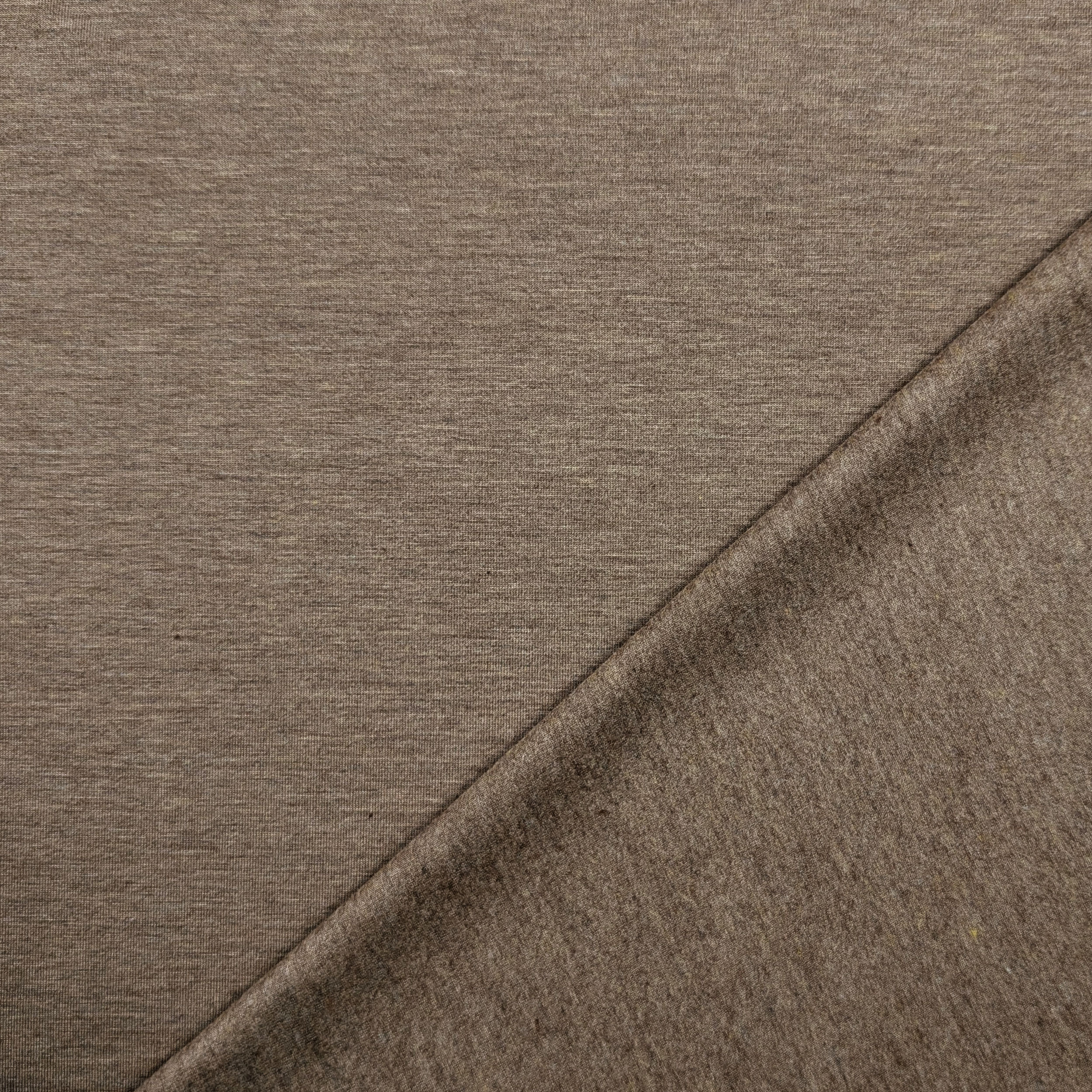 Beige Melange Warm Cotton Jersey Image