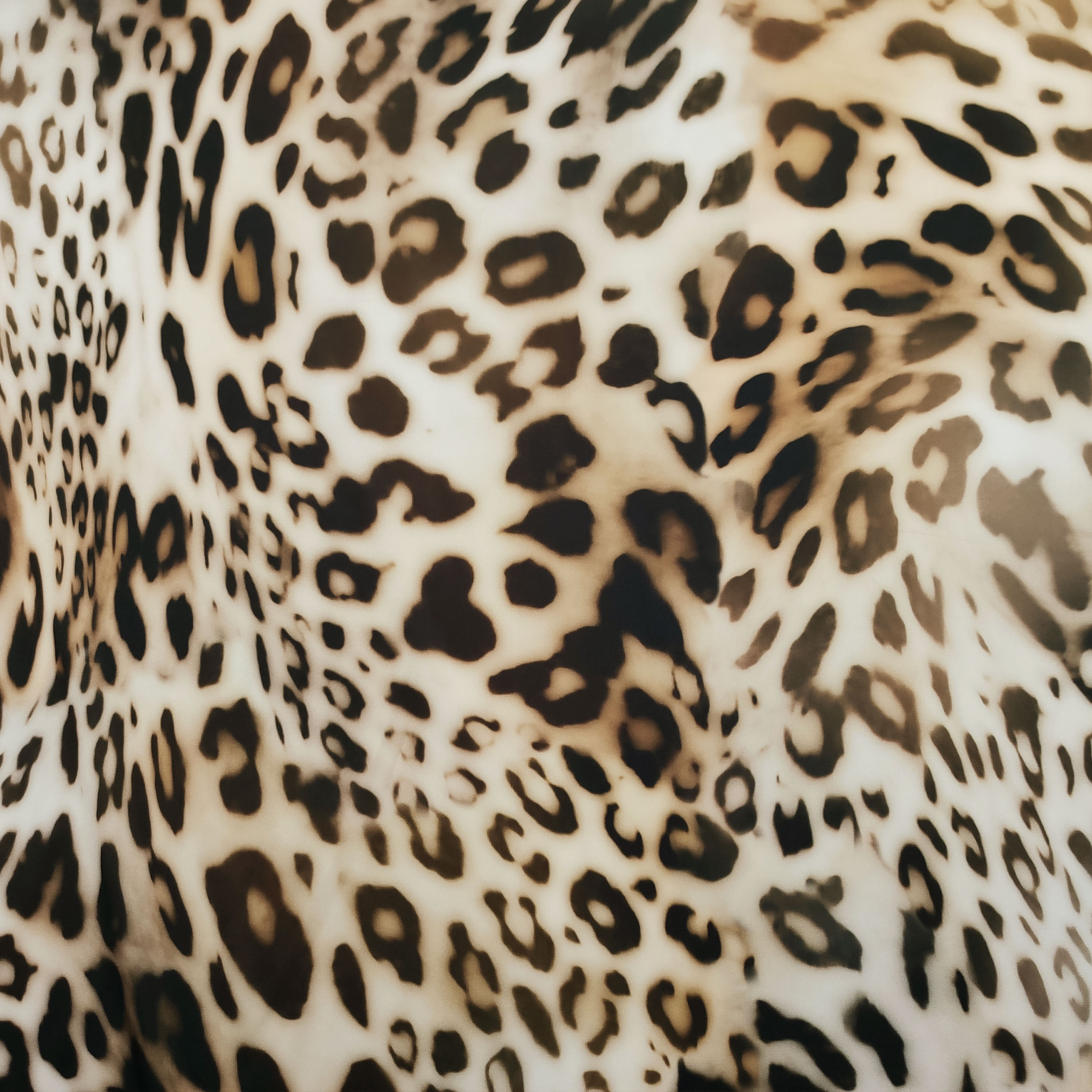 Leopardenmuster High Fashion Rasierer