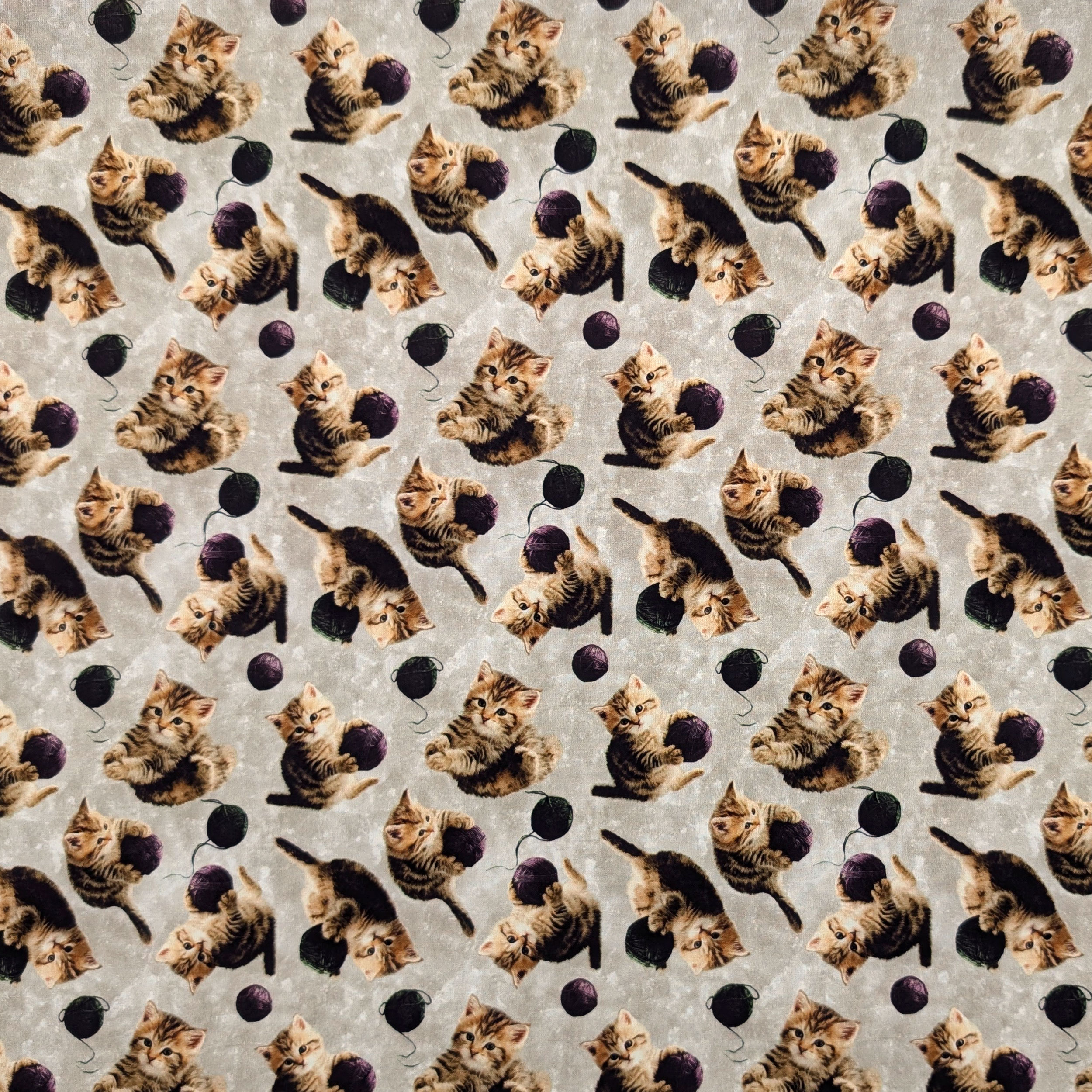 Cotton Fantasy Kittens and Ruffles Image