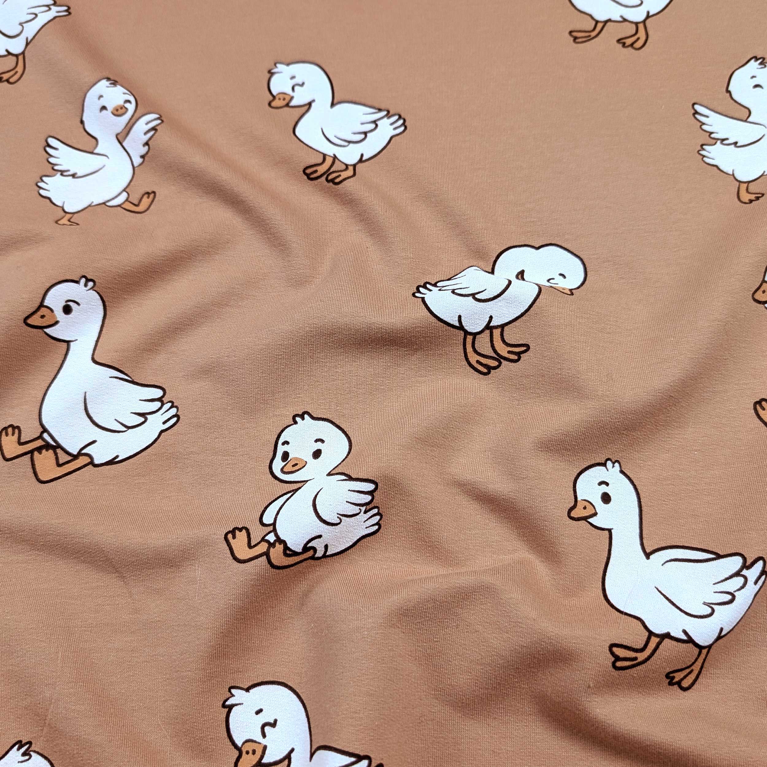 Sweatshirt French Terry Ducks Image