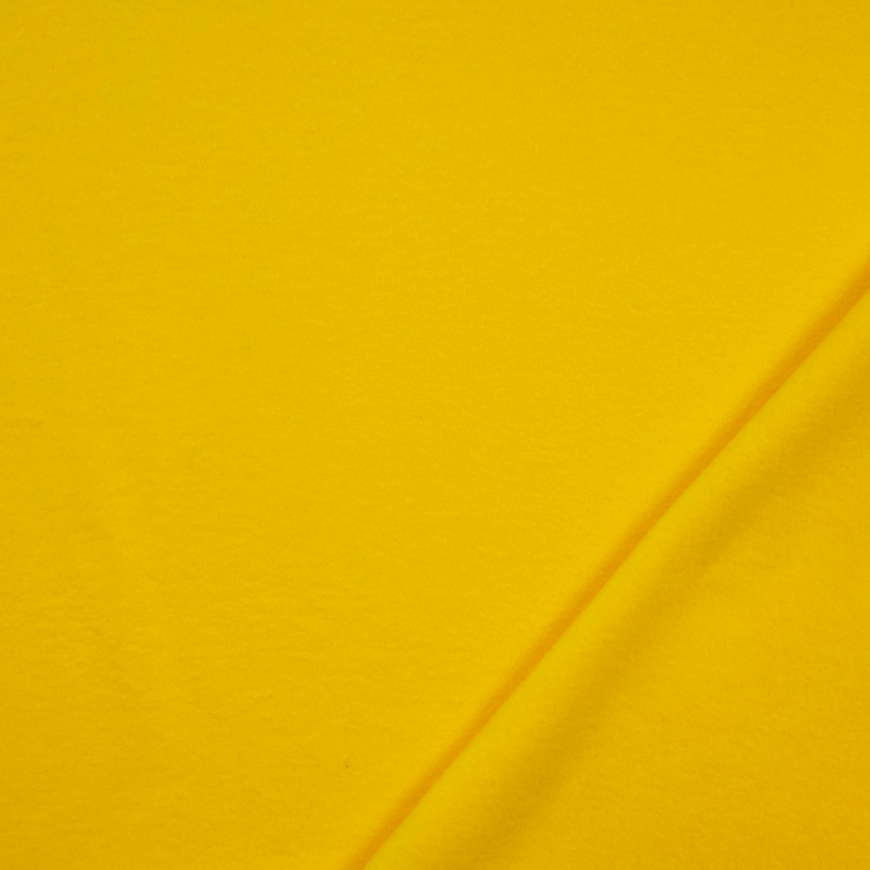 Polar Fleece  Image