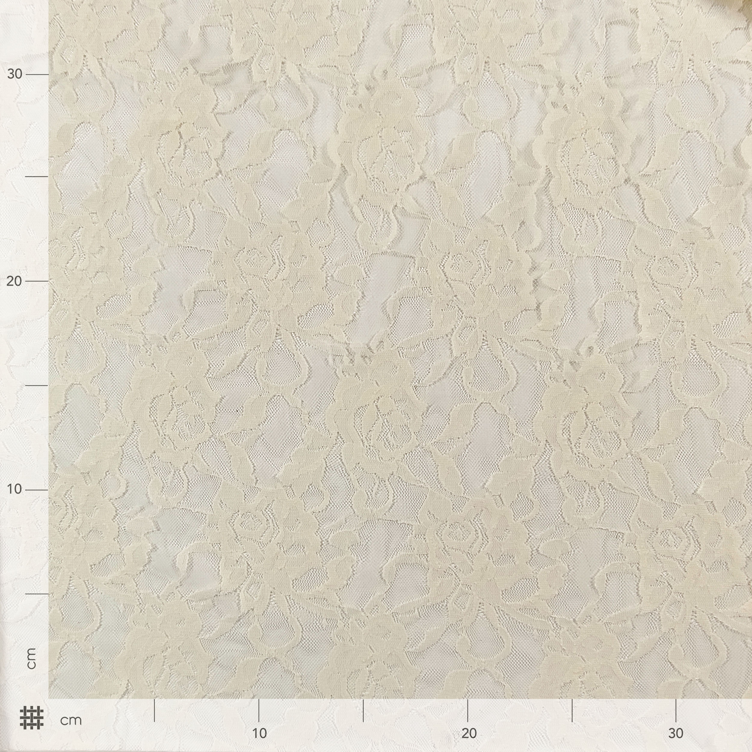 Elastic Lace with Roses Image