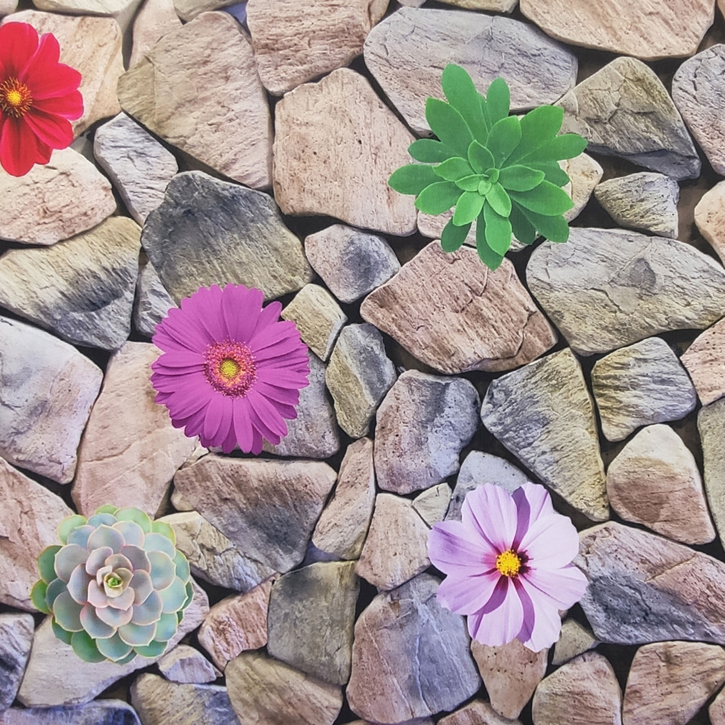 Fleurs de cuisine sur pierres Image