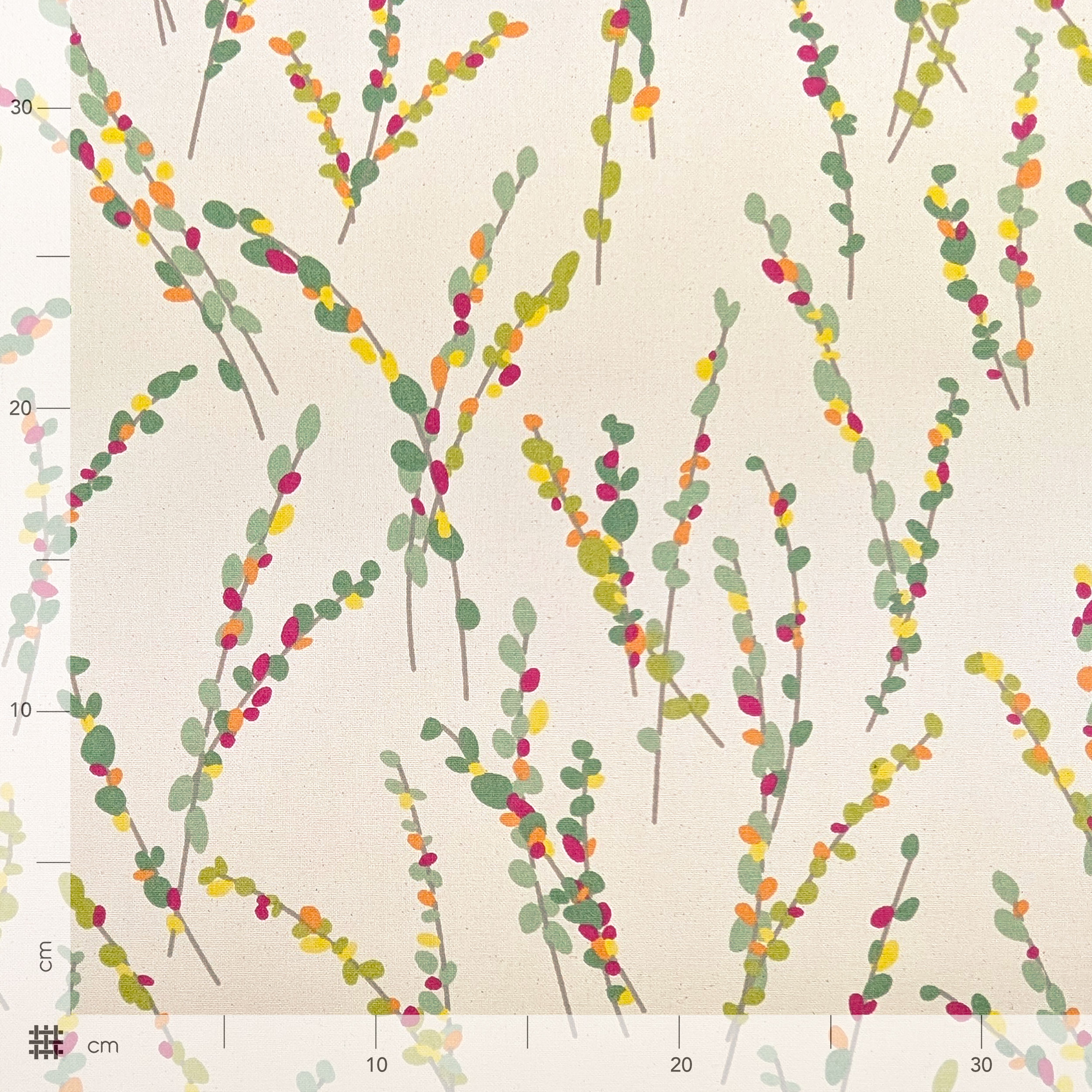 Natural Panama Branches with Coloured Leaves Image