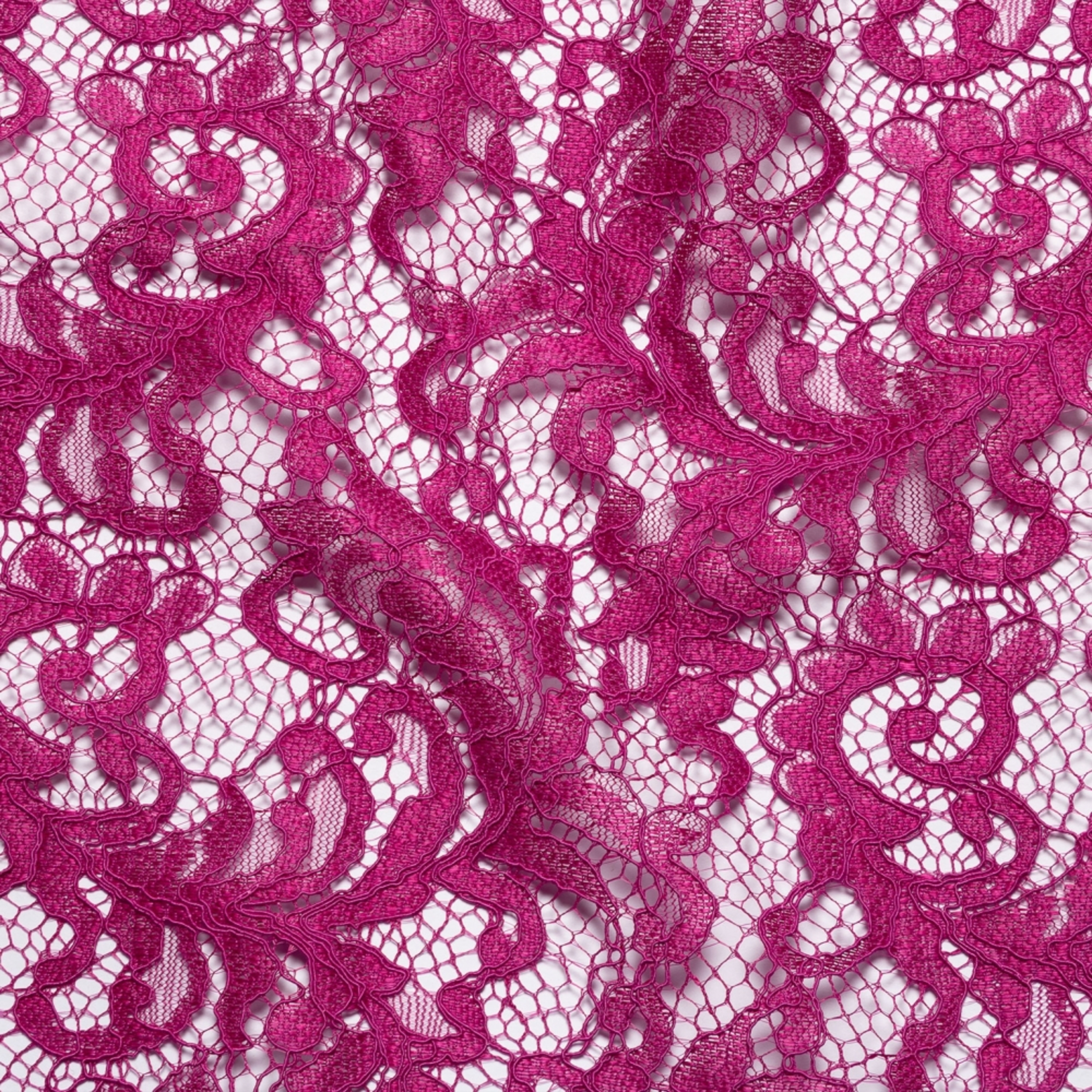 Violet - H339