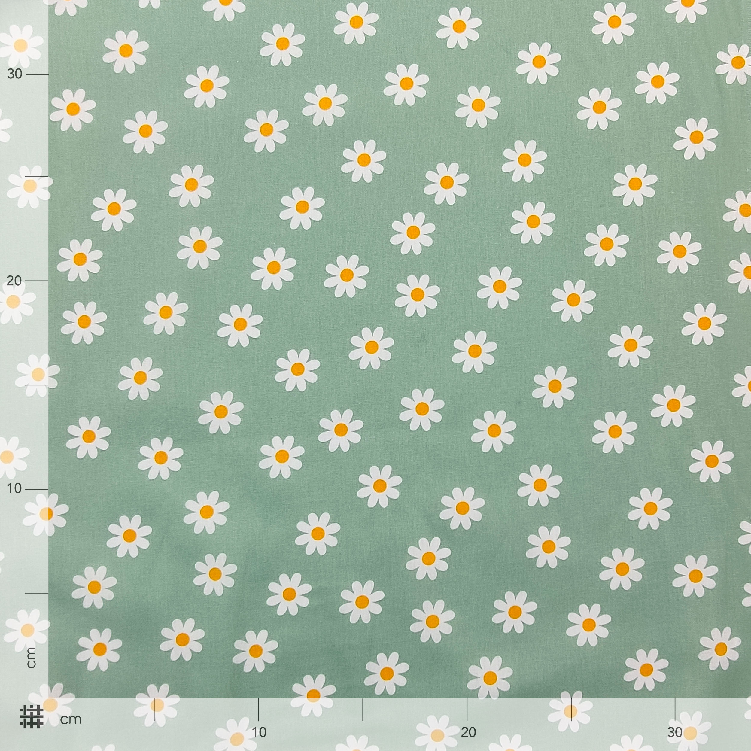 Cotton Poplin Daisies Mint Background Image