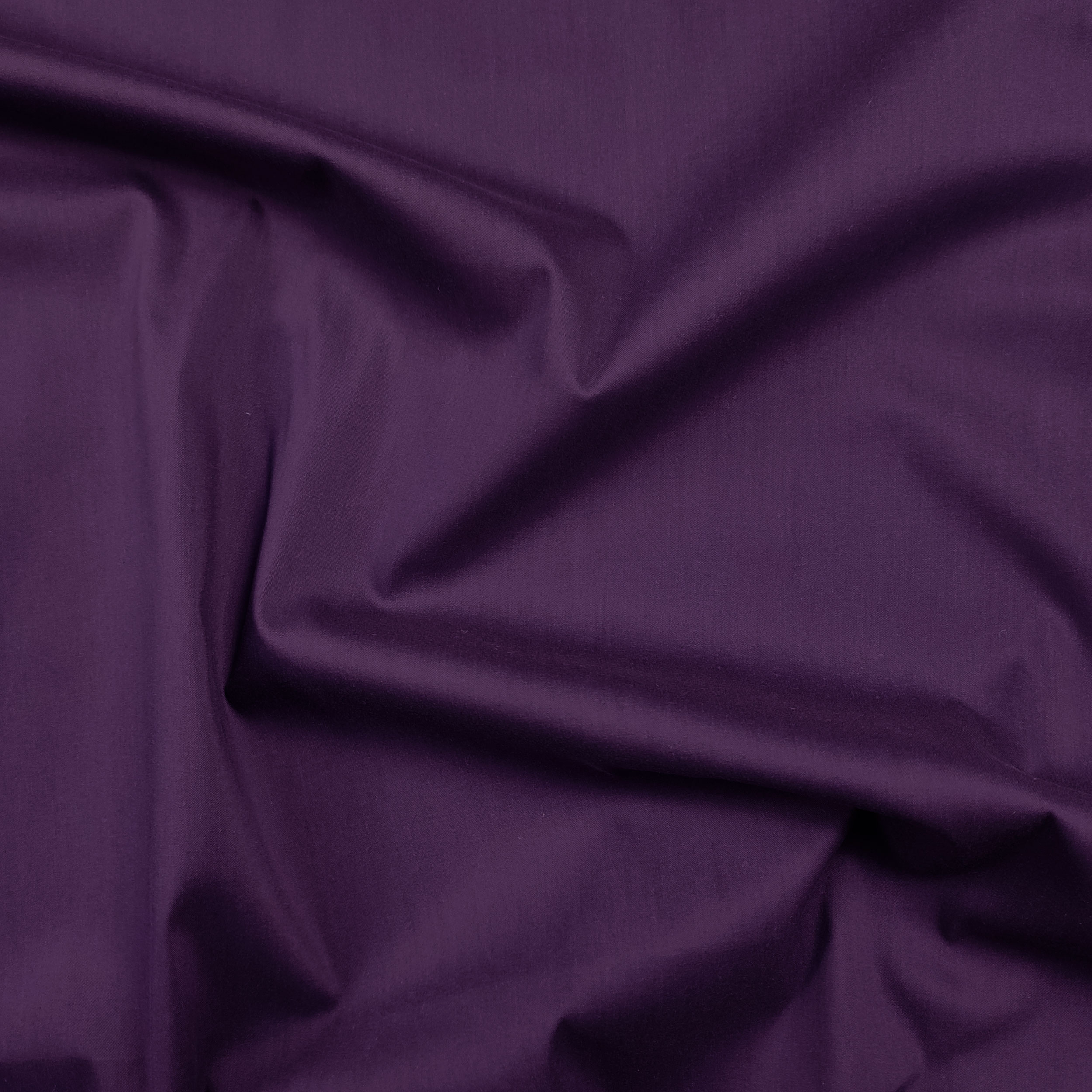 Algodón elástico para camisas Plum