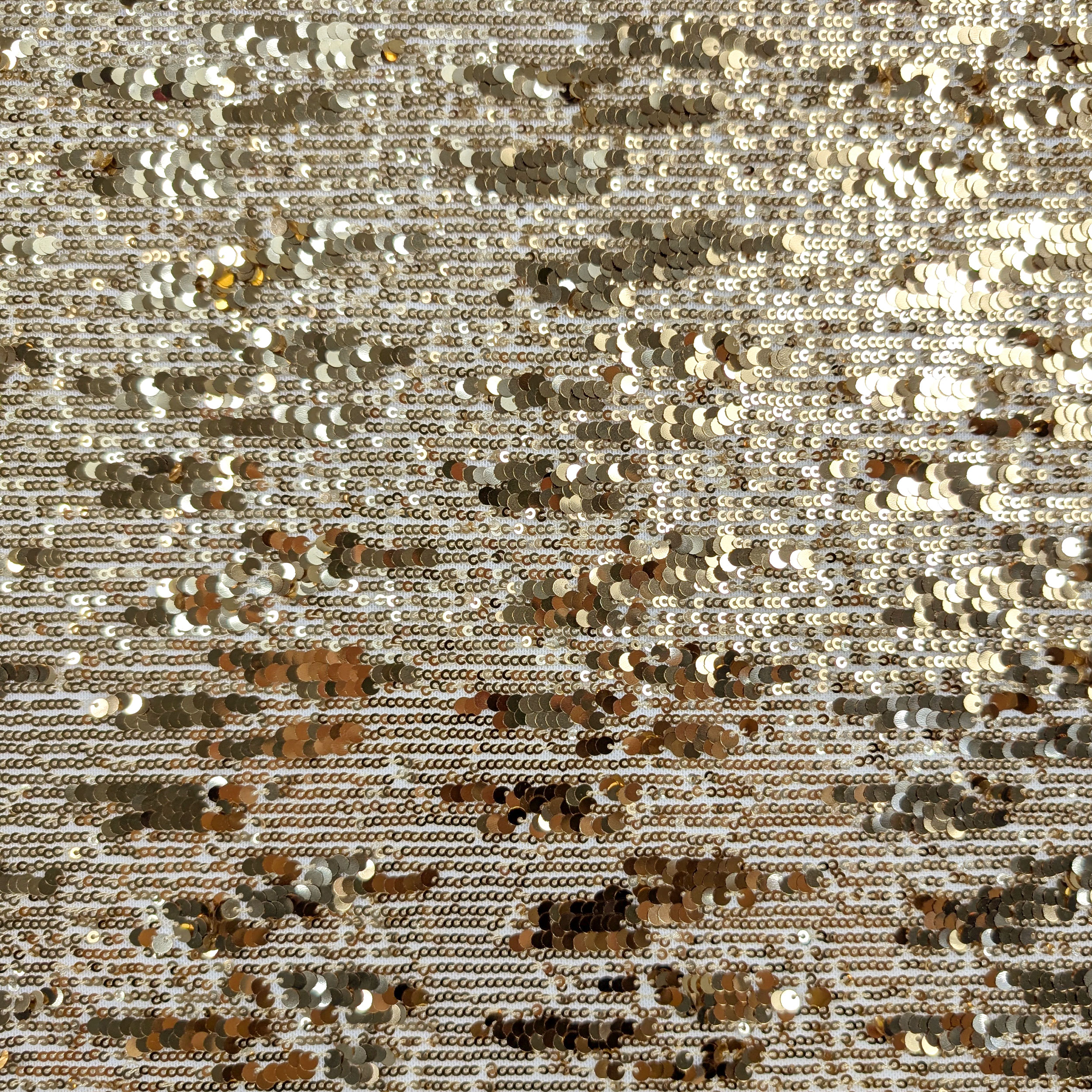 Cascading Sequins on Tulle Fabric Image
