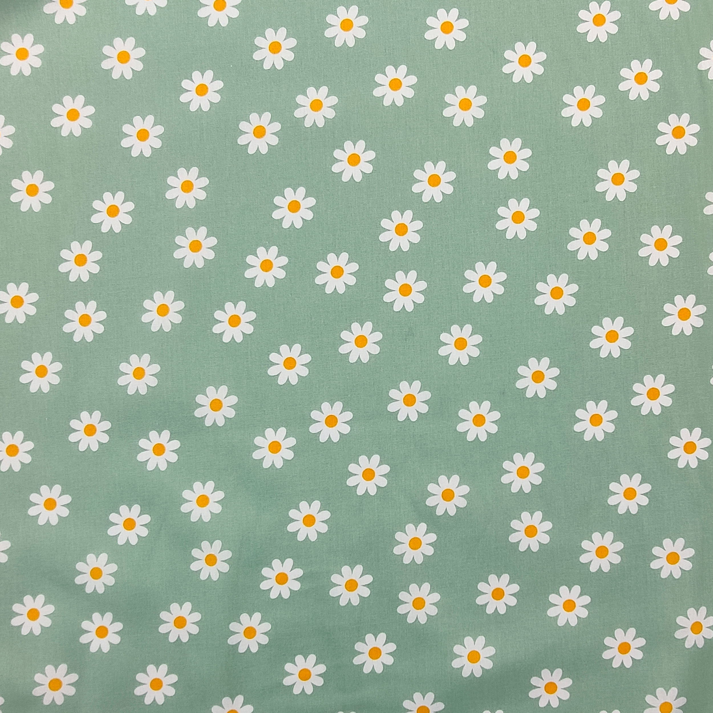 Cotton Poplin Daisies Mint Background