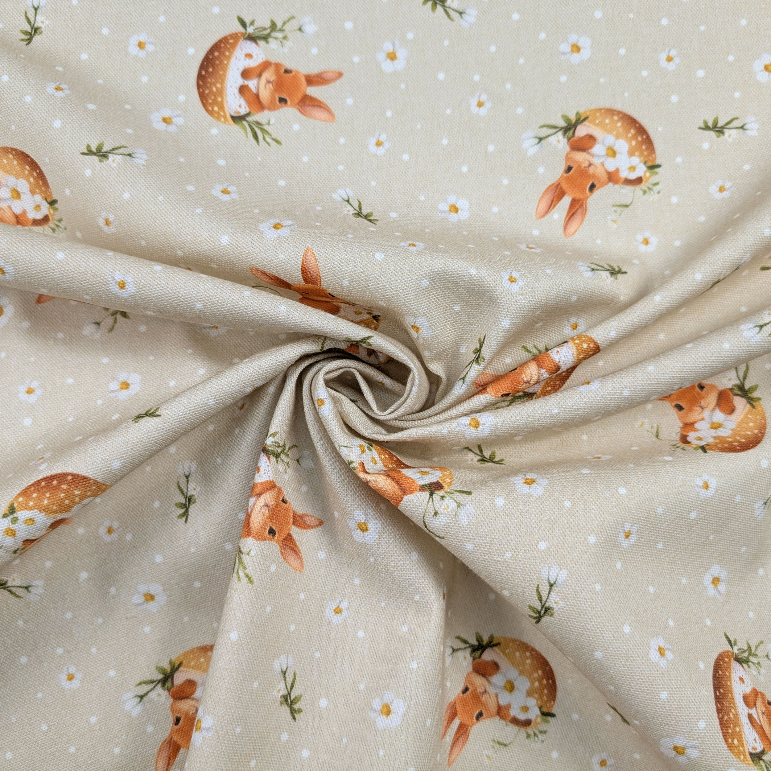 Panama Daisies and Easter Bunnies Image