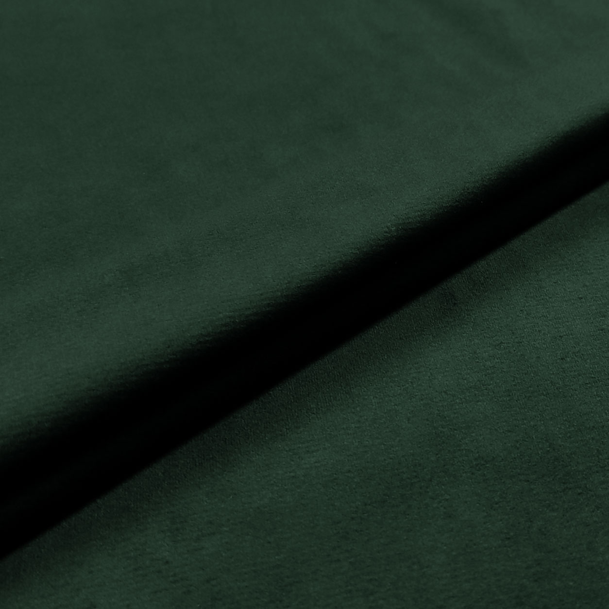 Vert forêt - 12