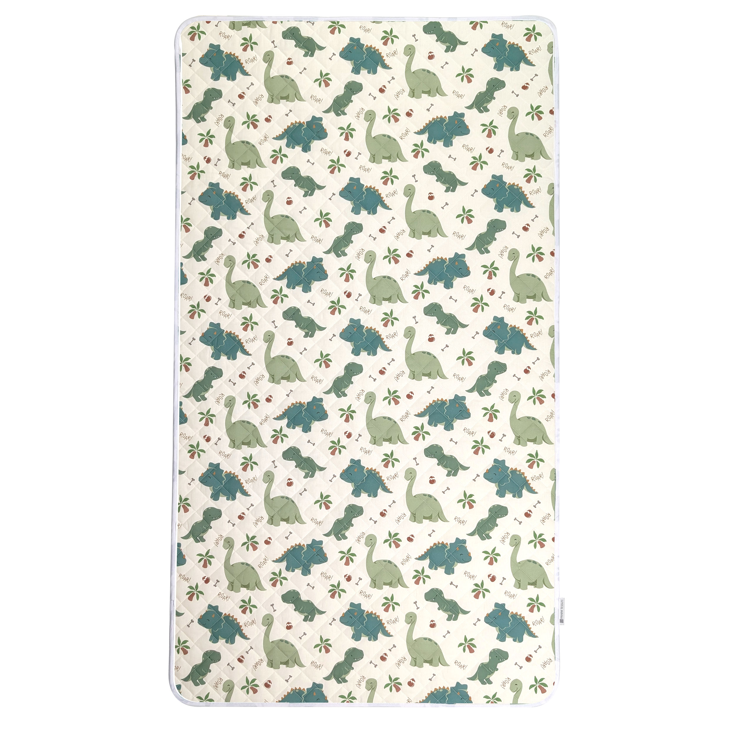 Dinosaur Blanket Image