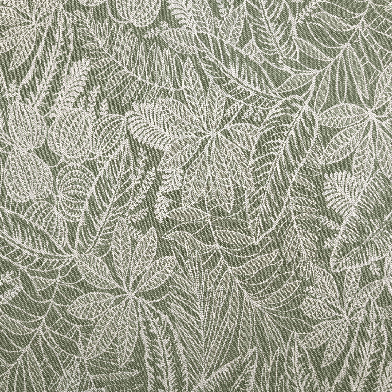 Jacquard Feuilles Fond vert H 280 cm Image