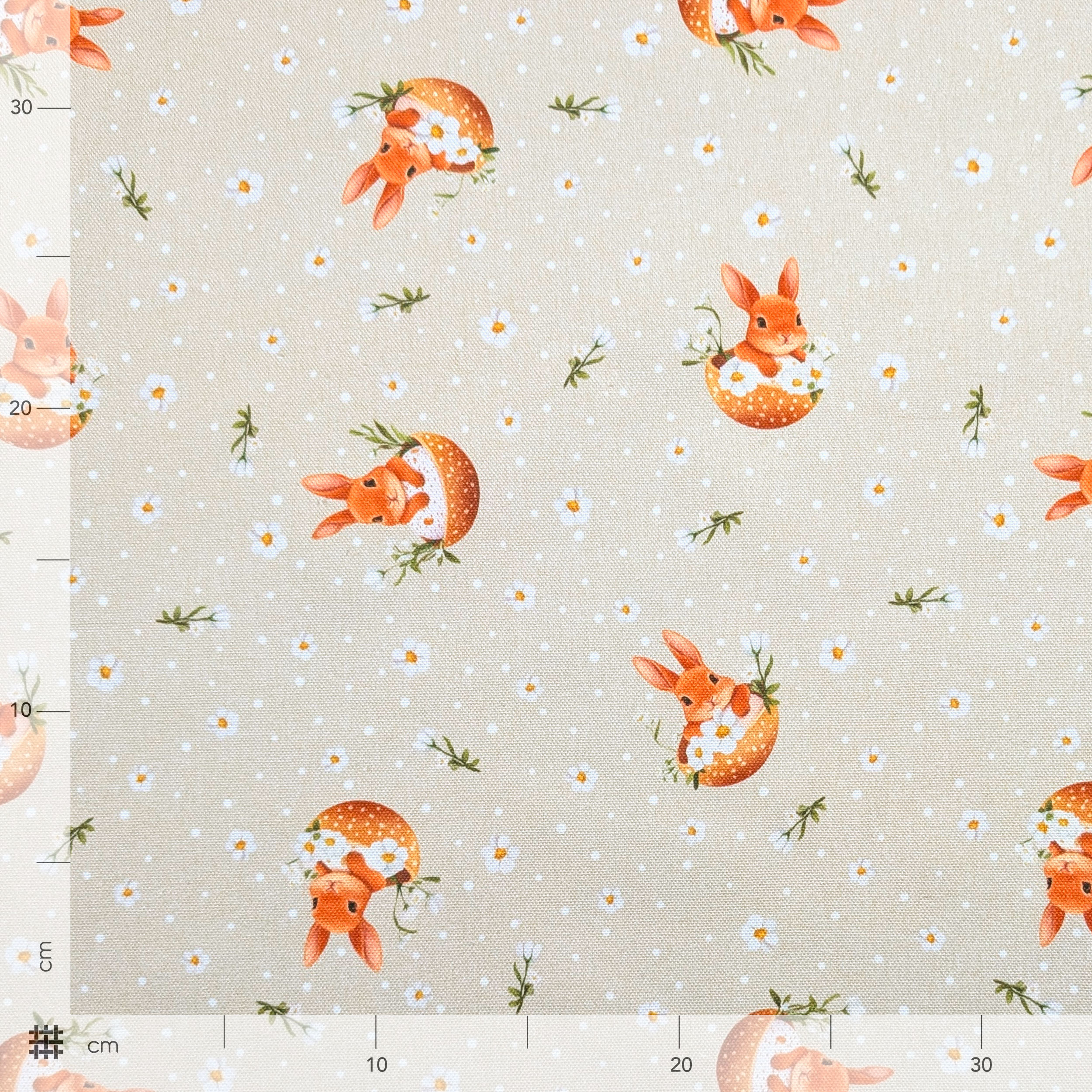 Panama Daisies and Easter Bunnies Image