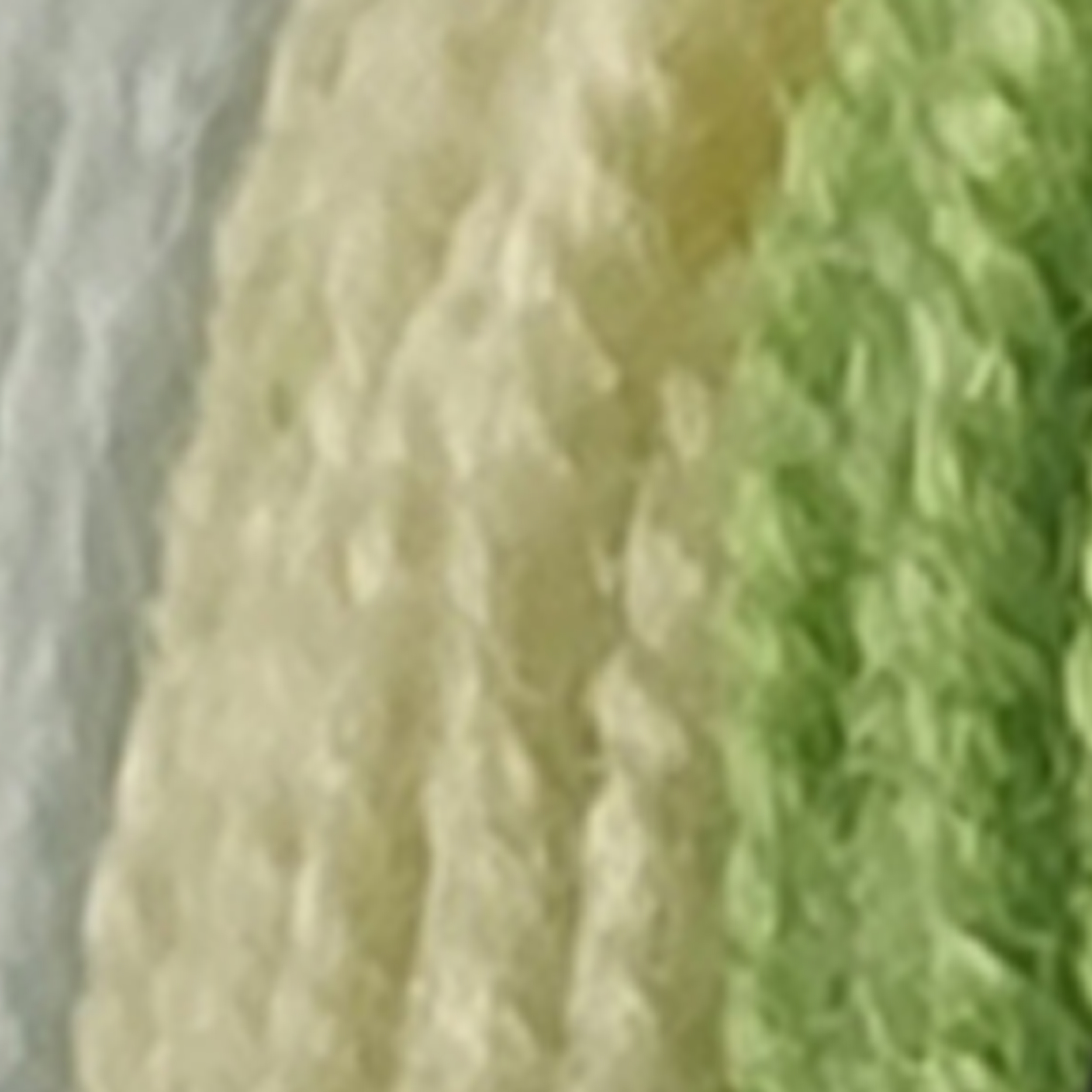 Verde Giallo - 5006