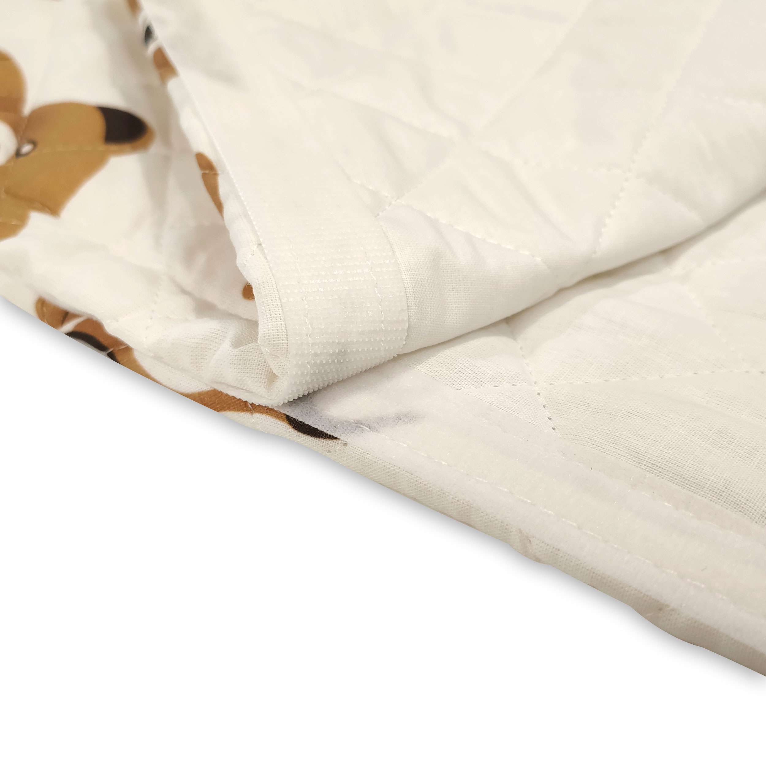 Ours en sac de couchage Fond blanc