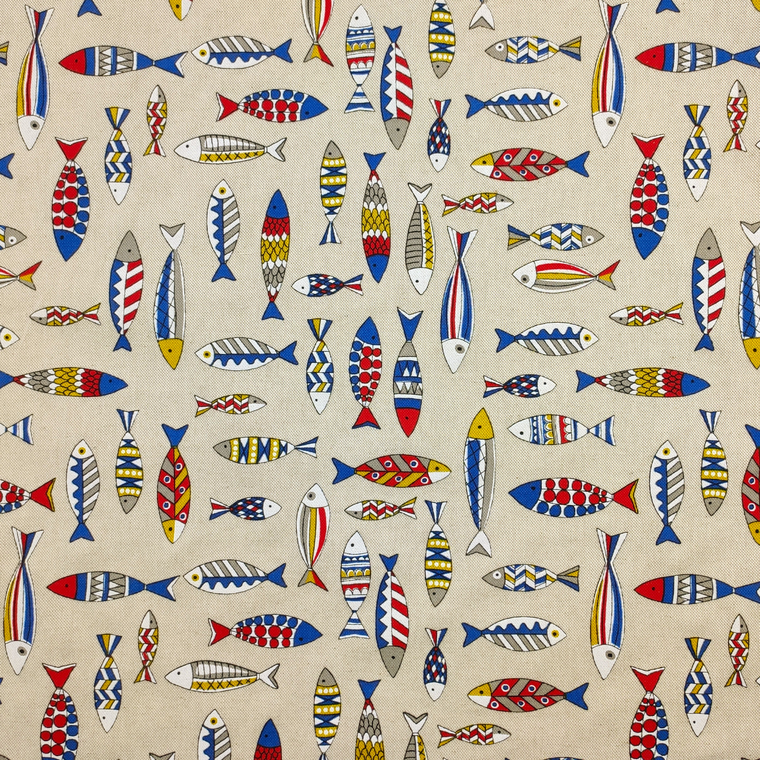 Panama Multicolour Fishes