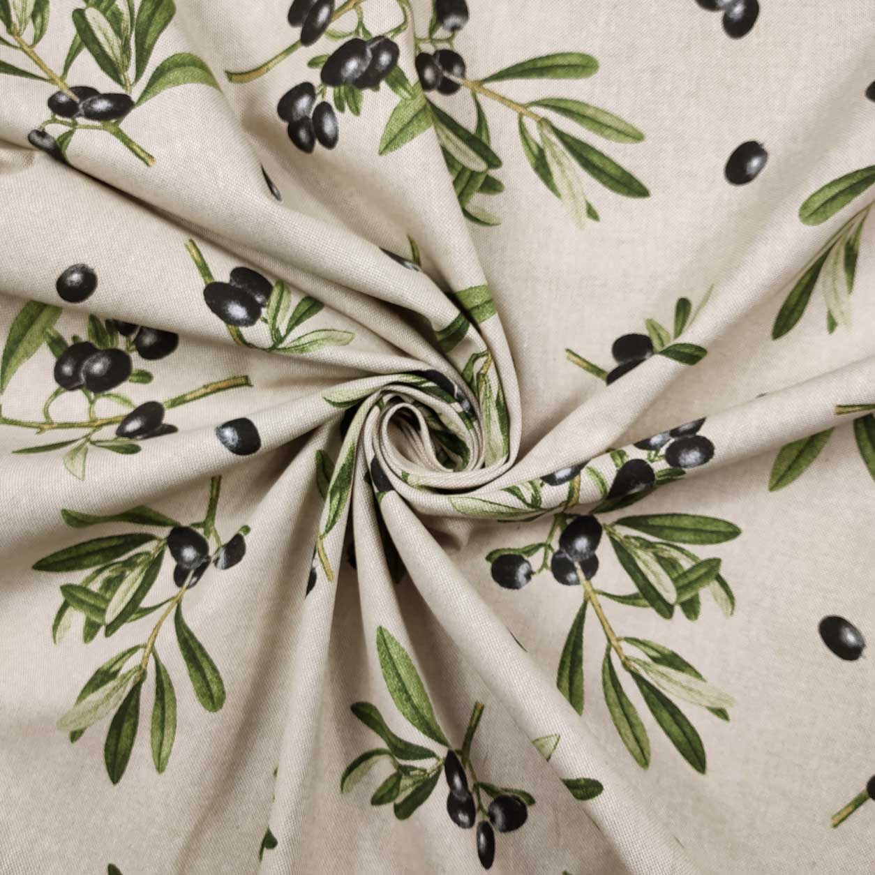 Meubles de Panama avec olives noires Image