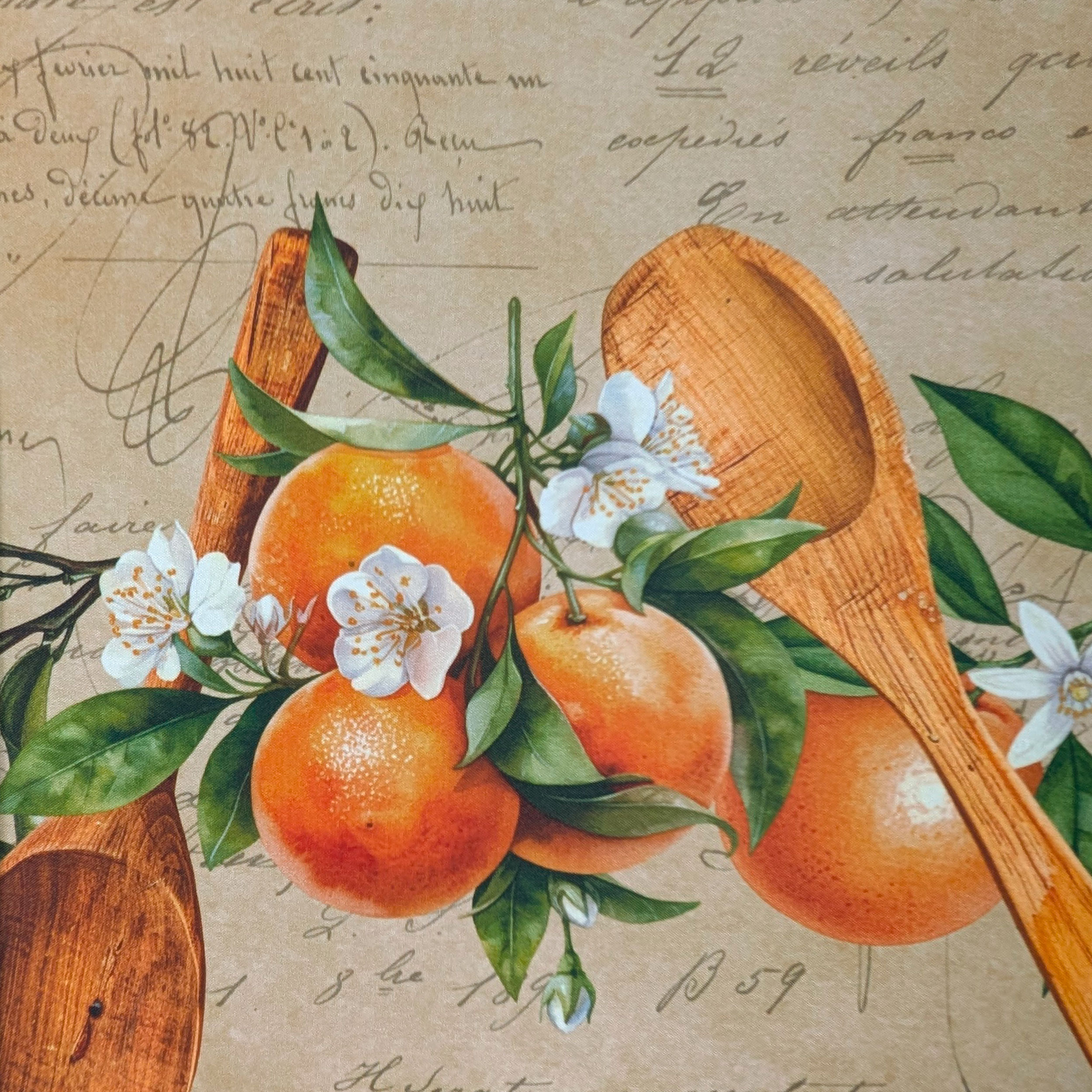 Citrus Fruit Kitchen Mash Image