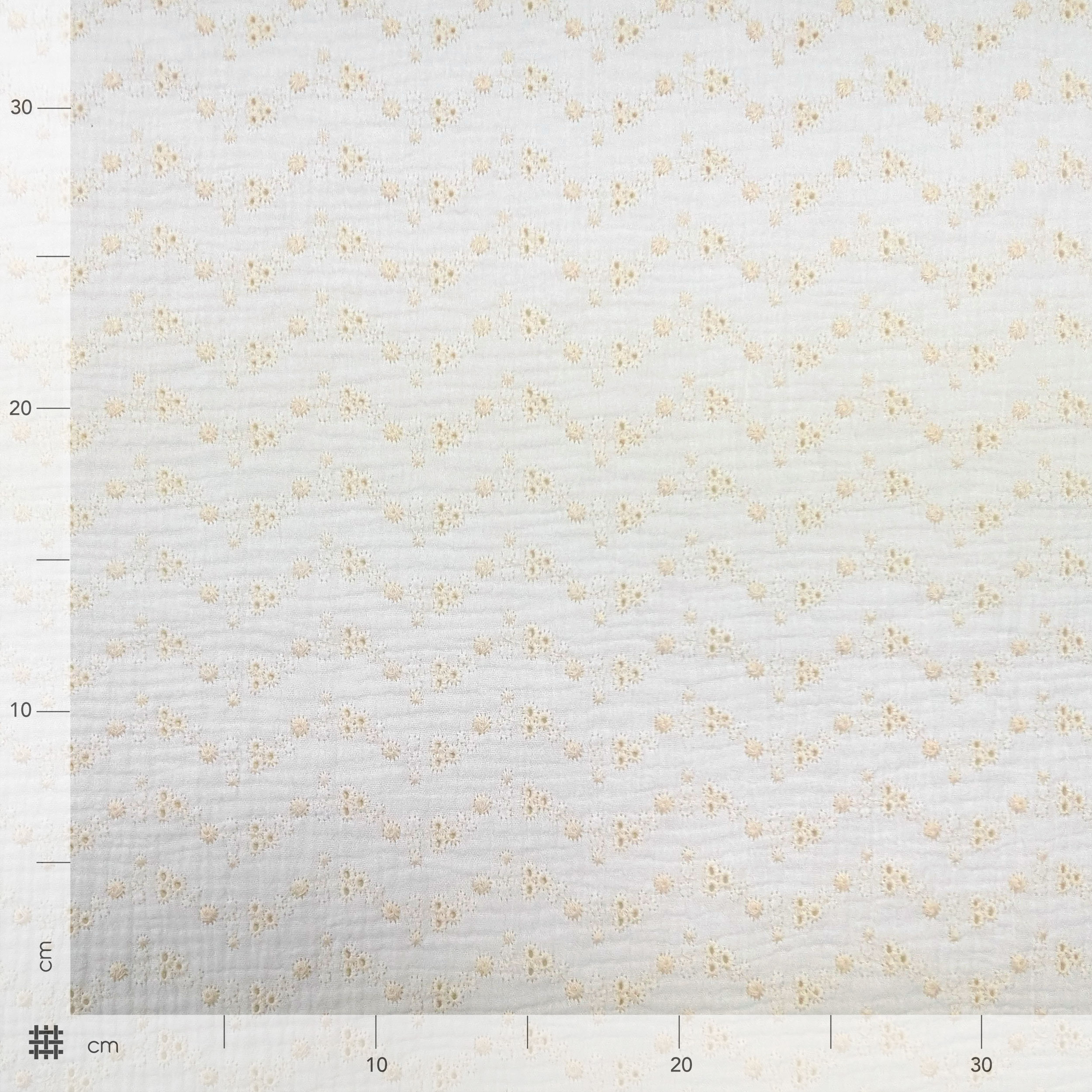 Sangallo Double Mousseline Blanche Crème Fleurs Image